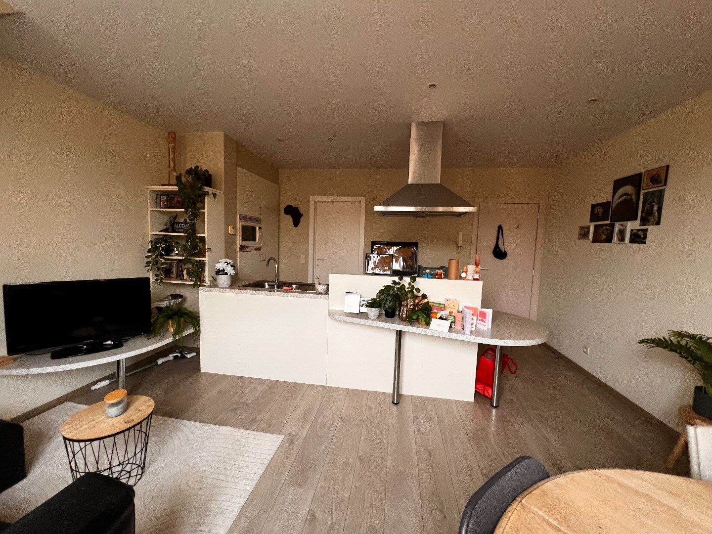 APPARTEMENT MET 1 SLAAPKAMER IN CENTRUM IEPER foto 5