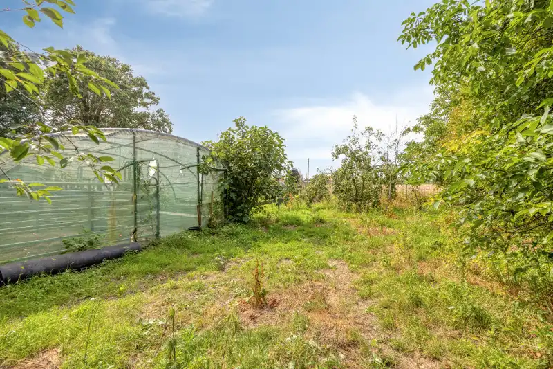Rustig gelegen perceel van 1.288 m² in een groene omgeving foto 5