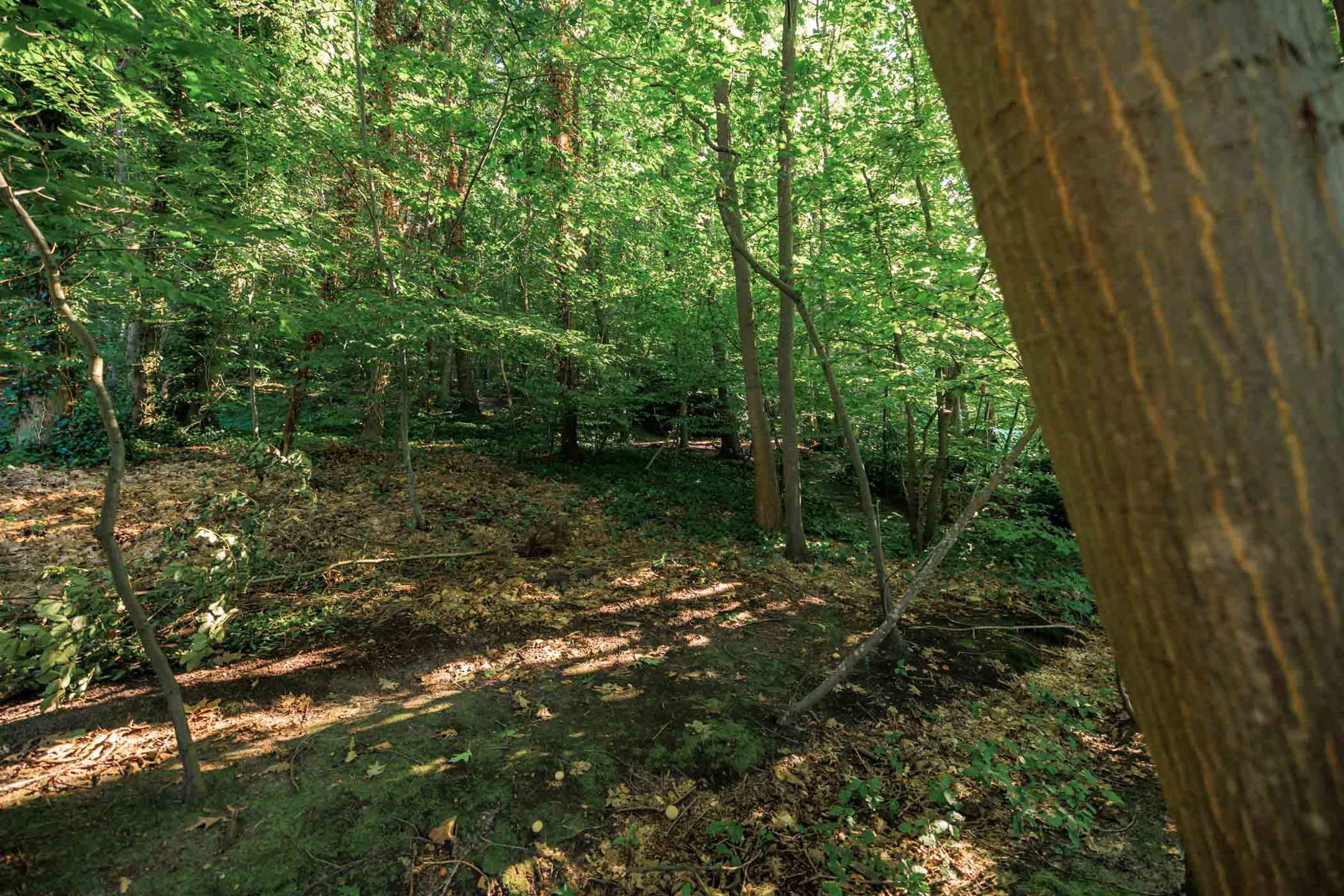 Goed gelegen bouwgrond te Heikant-Rotselaar foto 15