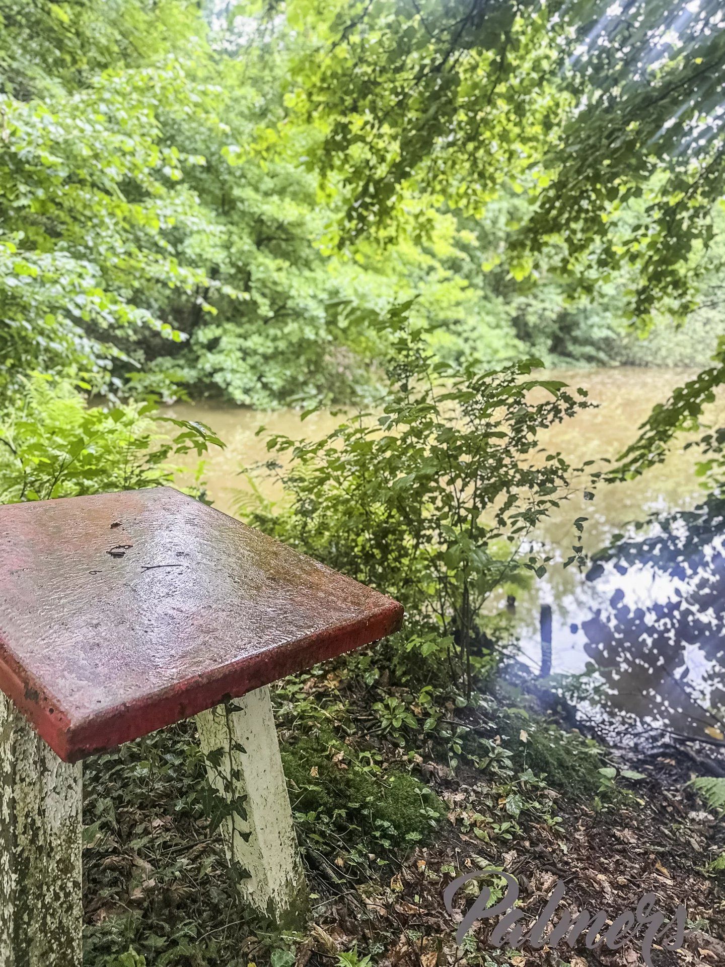 Comfort, ruimte èn ligging: instapklaar wonen in het groen. foto 32
