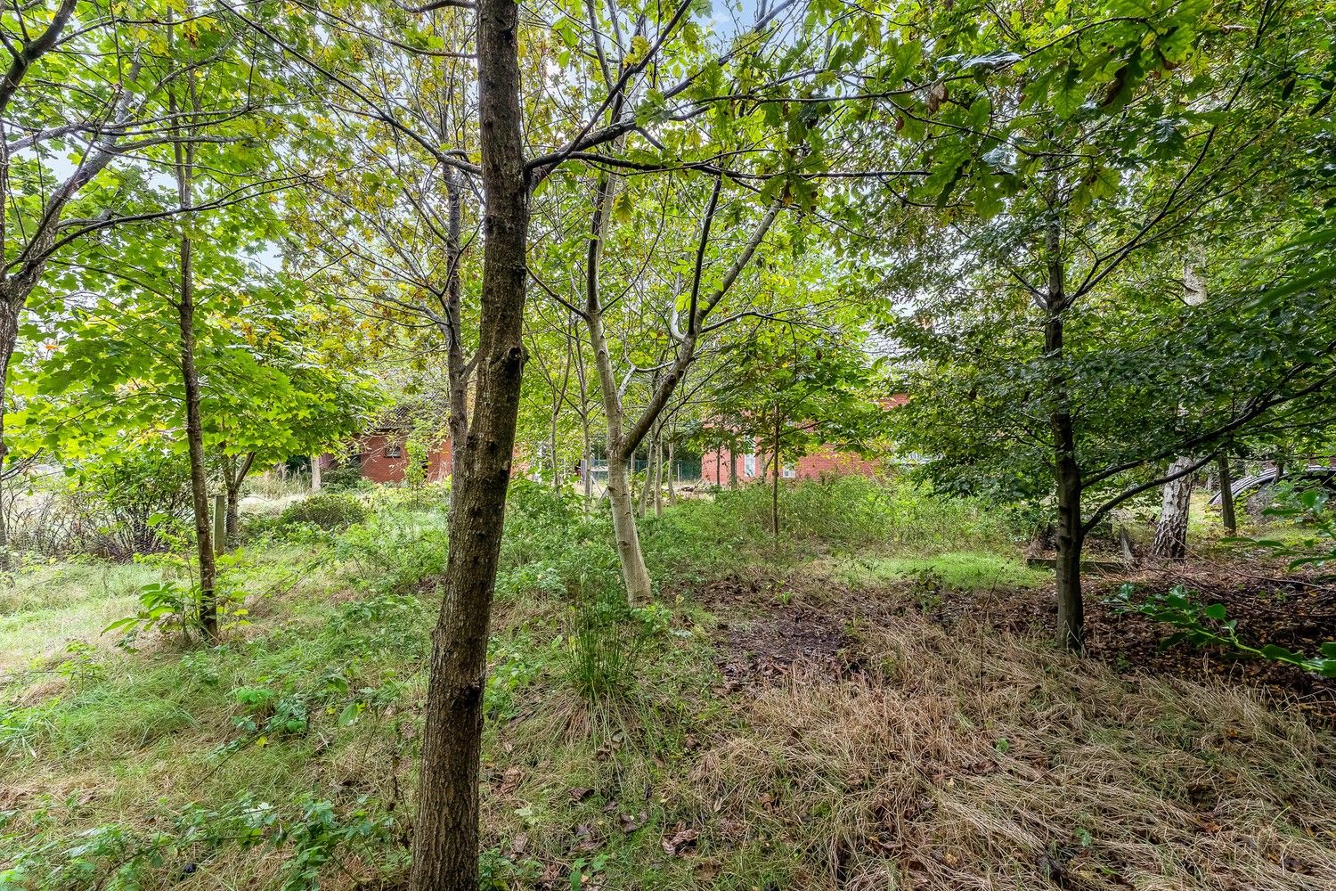 Renovatieproject op een uitstekende ligging te Bonheiden foto 6