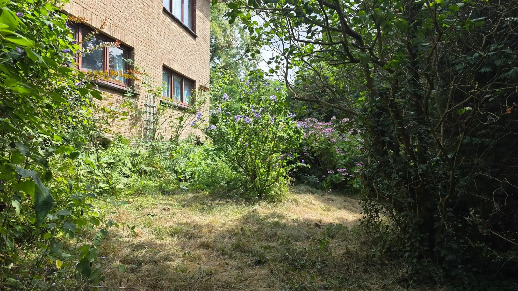 Ruime villa foto 25