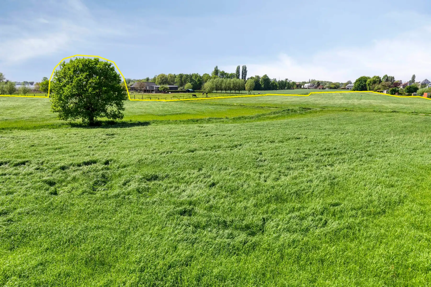 Ruime authentieke hoeve op een perceel van 47.440m². foto 25