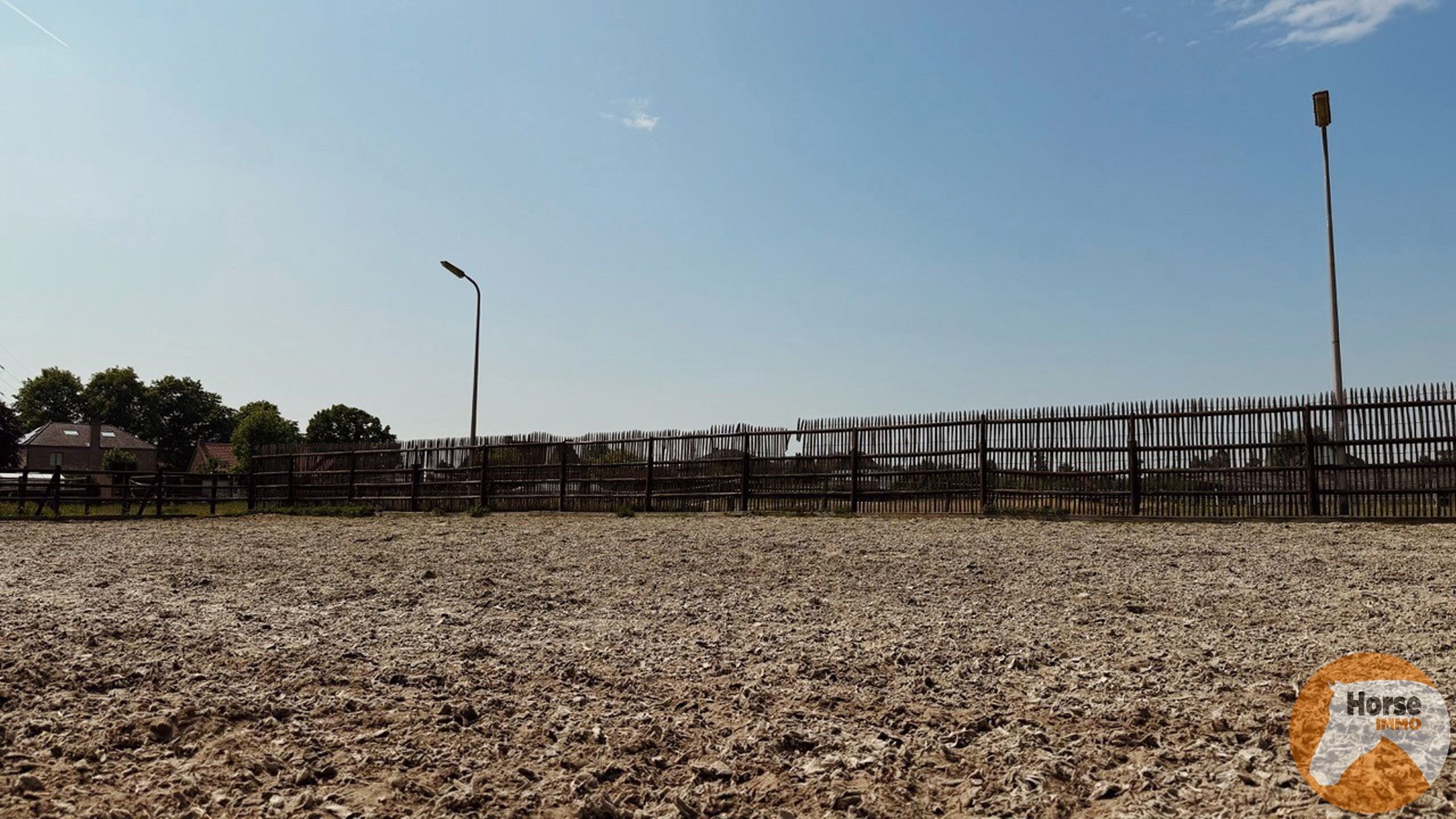 REET – 10 paardenstallen, buitenpiste en weides foto 5