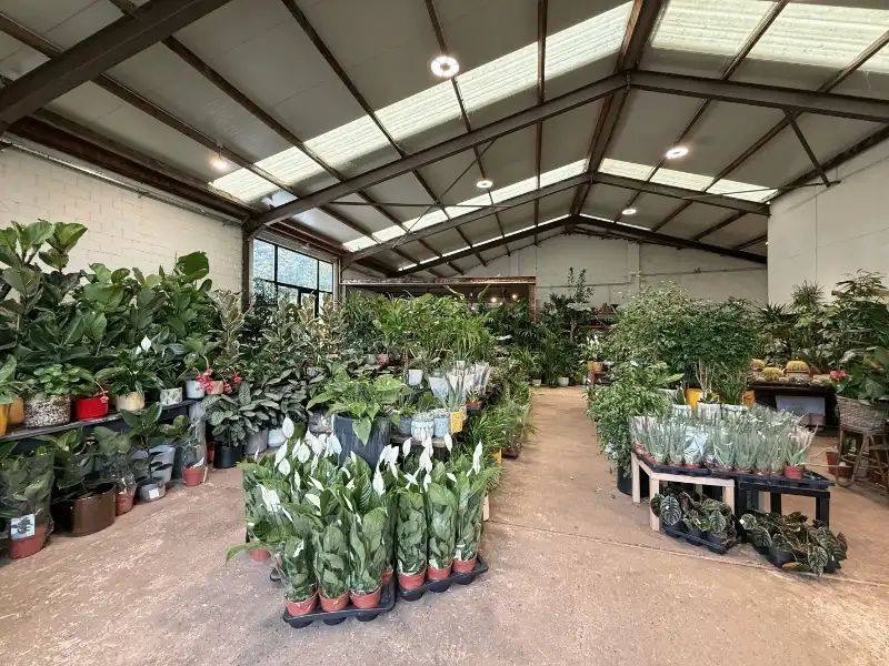 Sint-Niklaas: TE KOOP Handelspand met ontwikkelingspotentieel foto 6