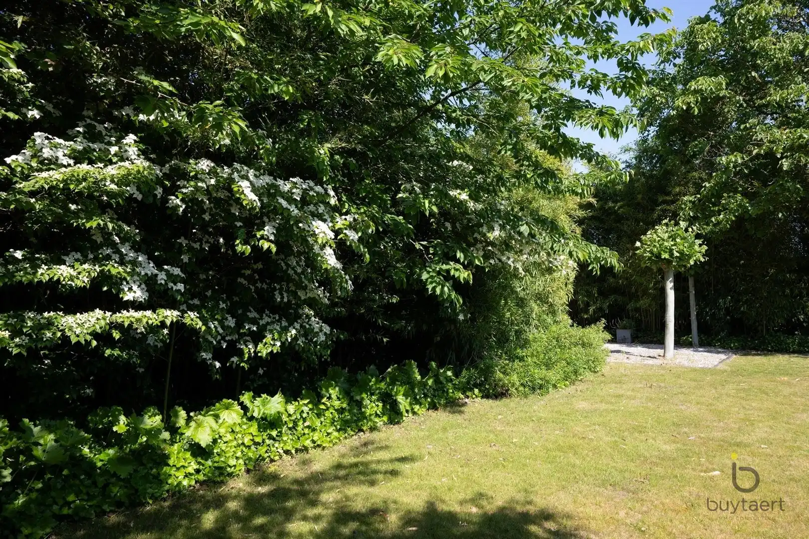 Te renoveren zonovergoten gelijkvloers 70’s woning met prachtige tuin en tal van mogelijkheden! foto 48