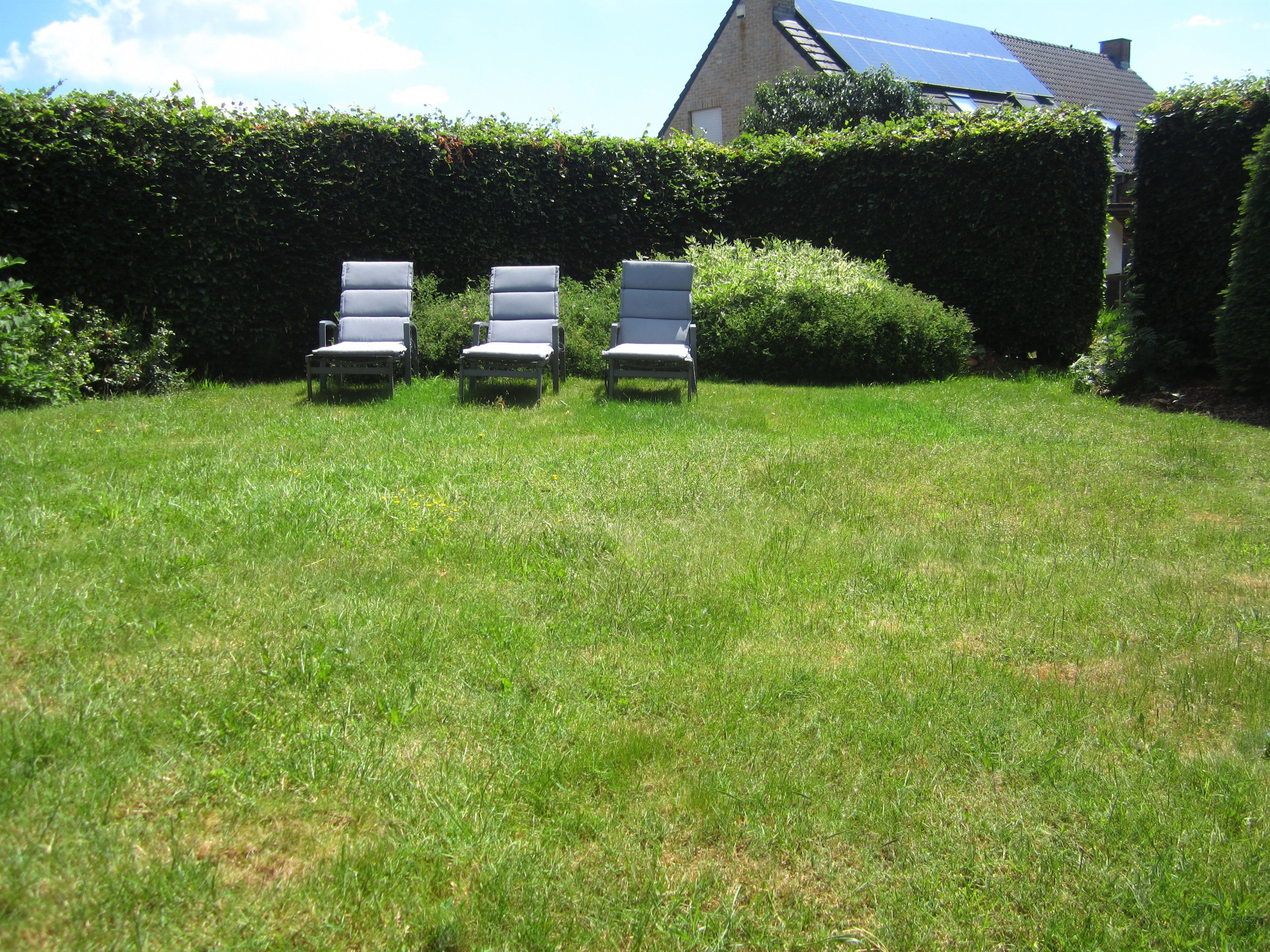 Charmante open bebouwing op 559m² met mooie aangelegde tuin.  foto 4