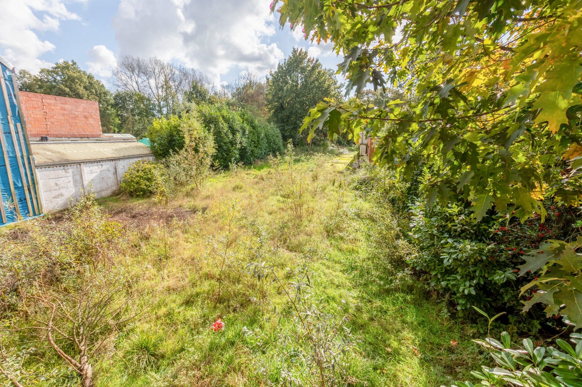 Bouwgronden in het pittoreske Puivelde met achterliggend bos foto 7