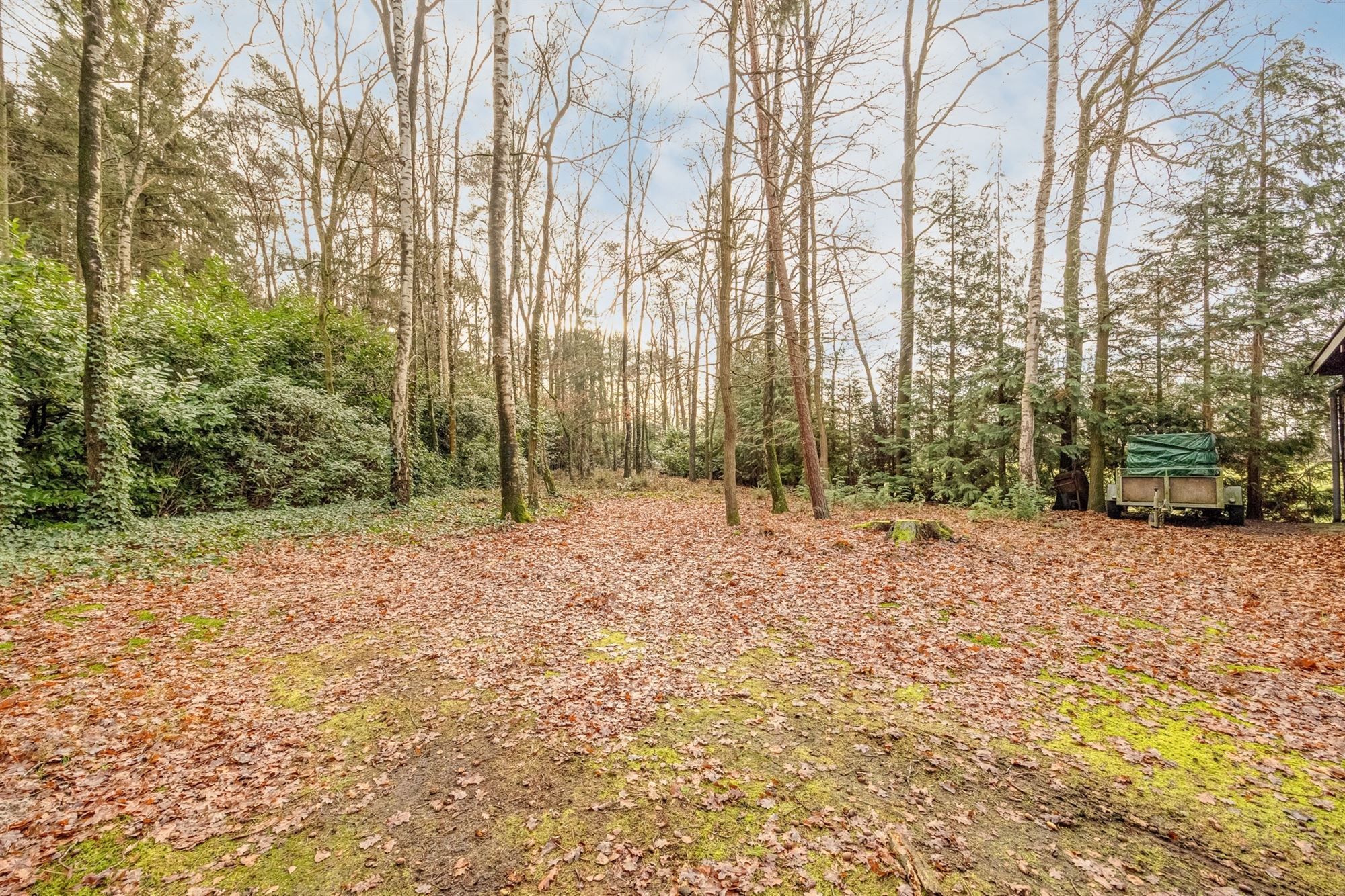 Charmante chalet met privatieve vijver op idyllisch perceel foto 11