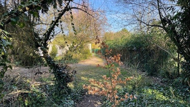 Prachtig verscholen domein met ZW oriëntatie met kleine  bungalowwoning  in Grobbendonk, op een perceel van 1530 m², foto 3