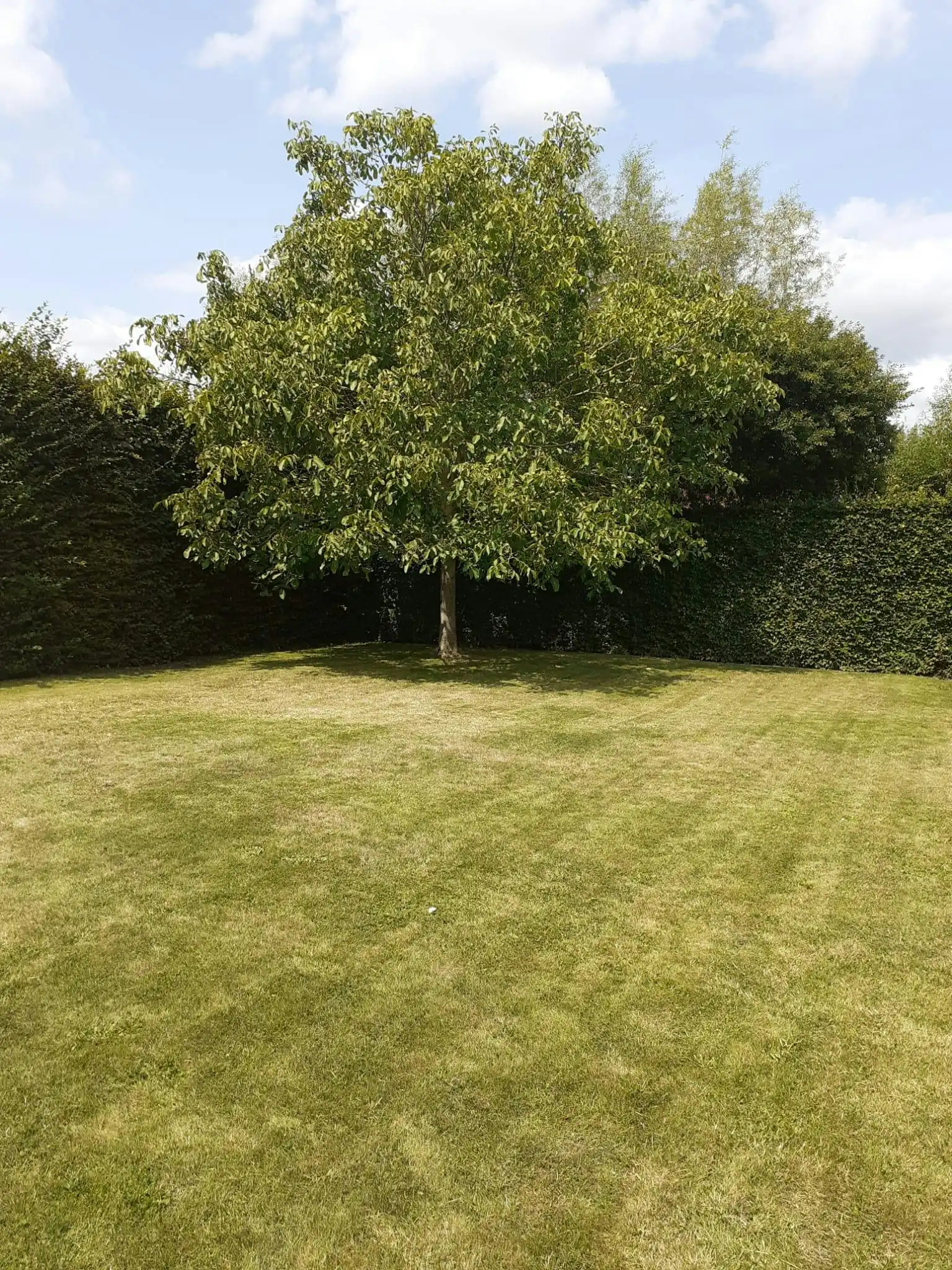 Alleenstaande woning in een rustige wijk te koop in Bissegem foto 11