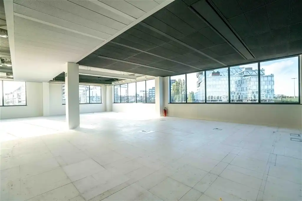 KOUTERVELDSTRAAT 20 - EAGLE HOUSE foto 7