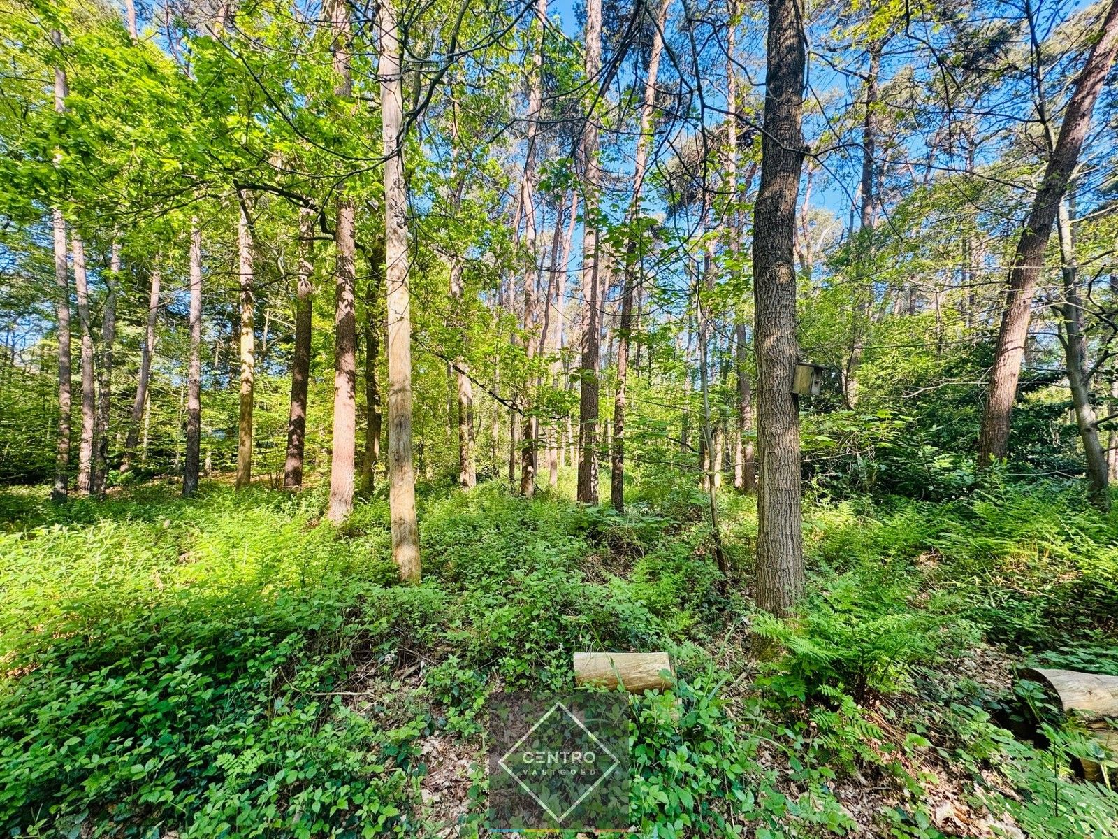 Exclusief (palend aan het Buskampveld!) perceel BOUWGROND (5.506m²) in het residentieel "WOONPARK" en BOS te Hertsberge (Oostkamp)! foto 5