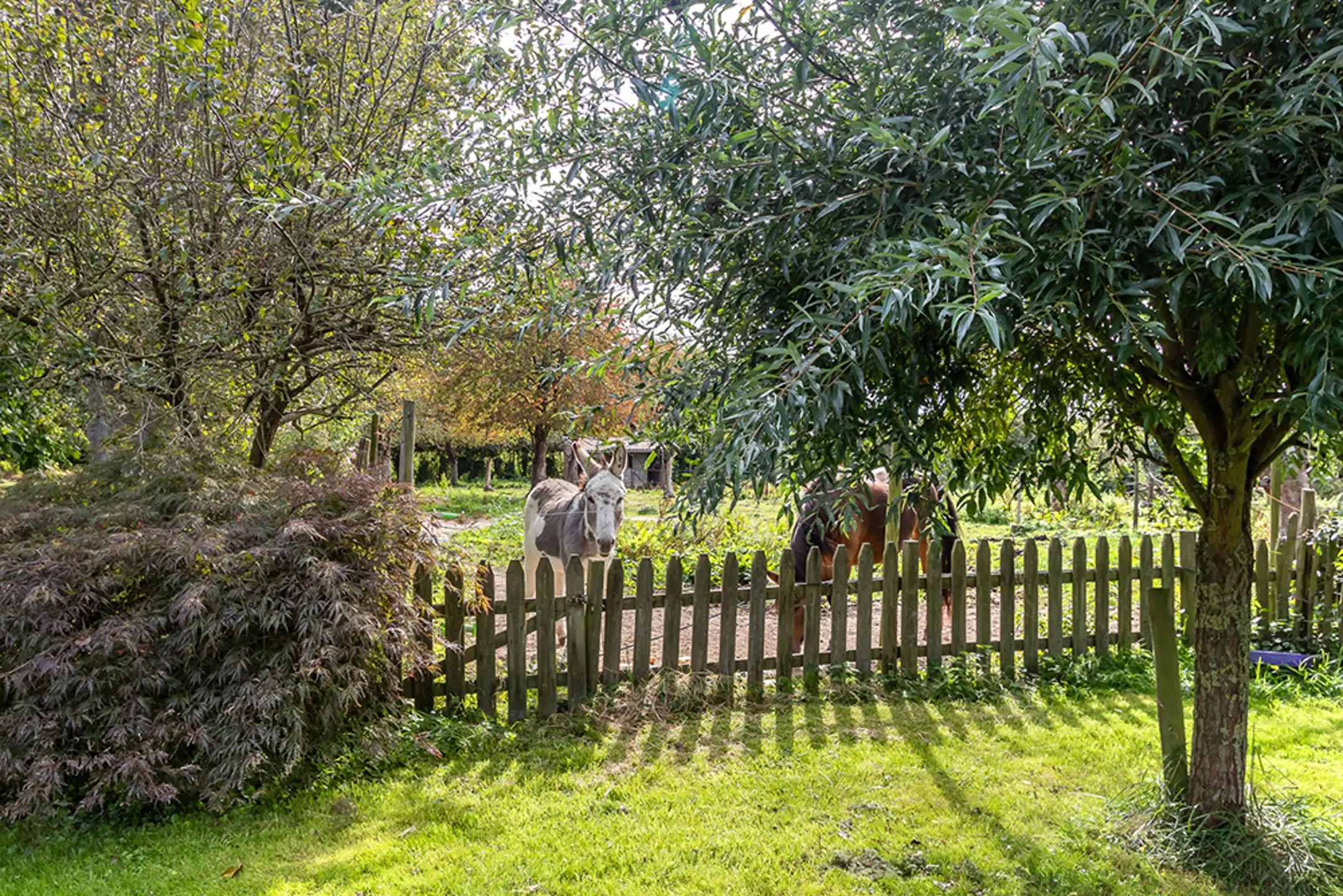 Gerestaureerde vierkantshoeve met B&B op 80 are grond foto 41