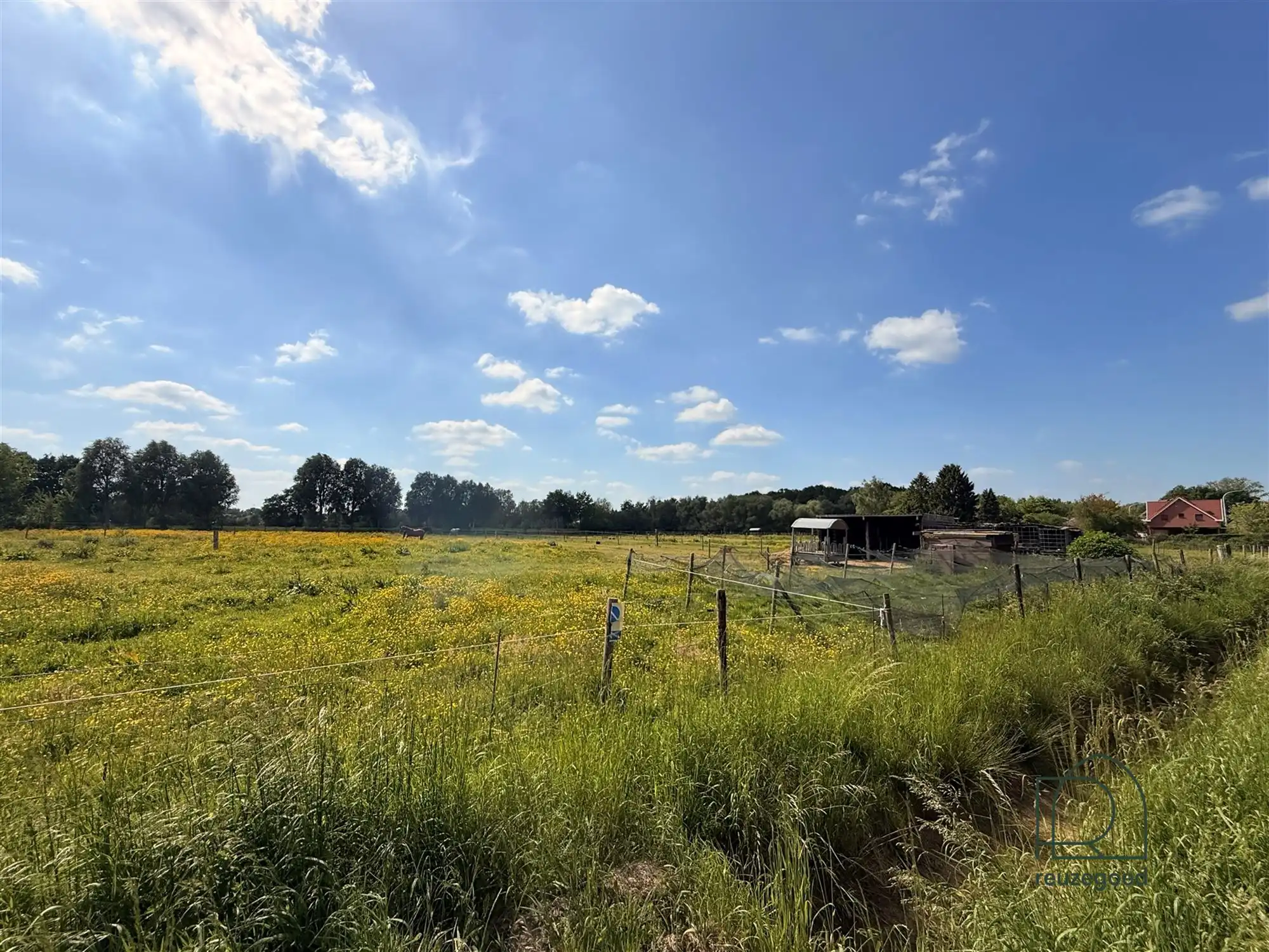 Landbouwgrond in Boortmeerbeek - paardenweide - 2,5 ha foto 8