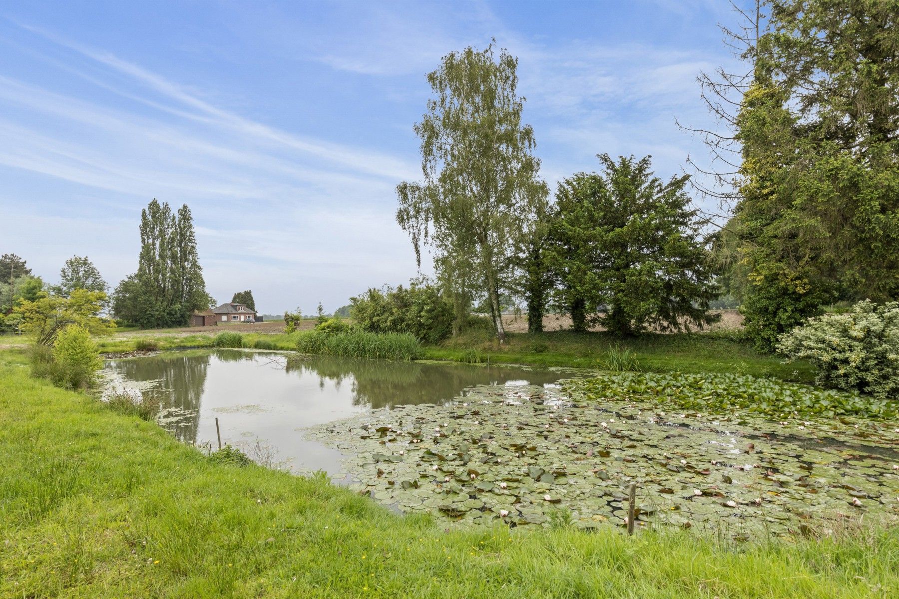 Uniek gelegen bouwgrond van 3381 m2 met wellness chalet en vijver te Wetteren foto 4