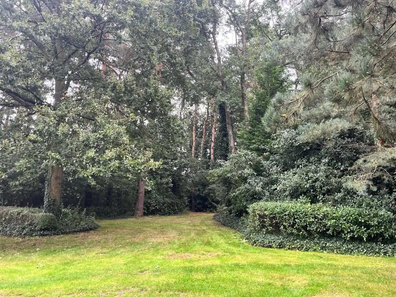 Villa op bos- en natuurdomein van 5056 m² in villawijk foto 4