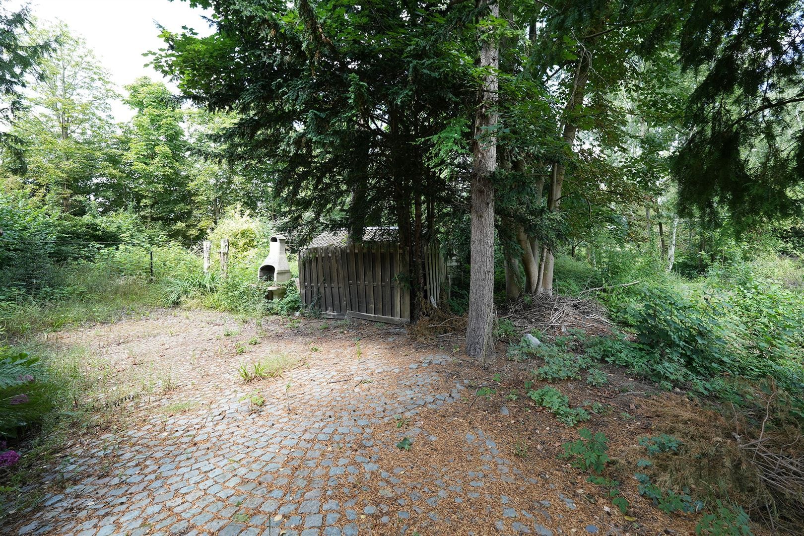 Laagbouw met grote tuin zonder renovatieplicht! foto 2