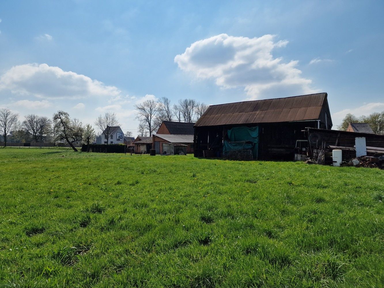 Hoeve Op de hoef foto 12