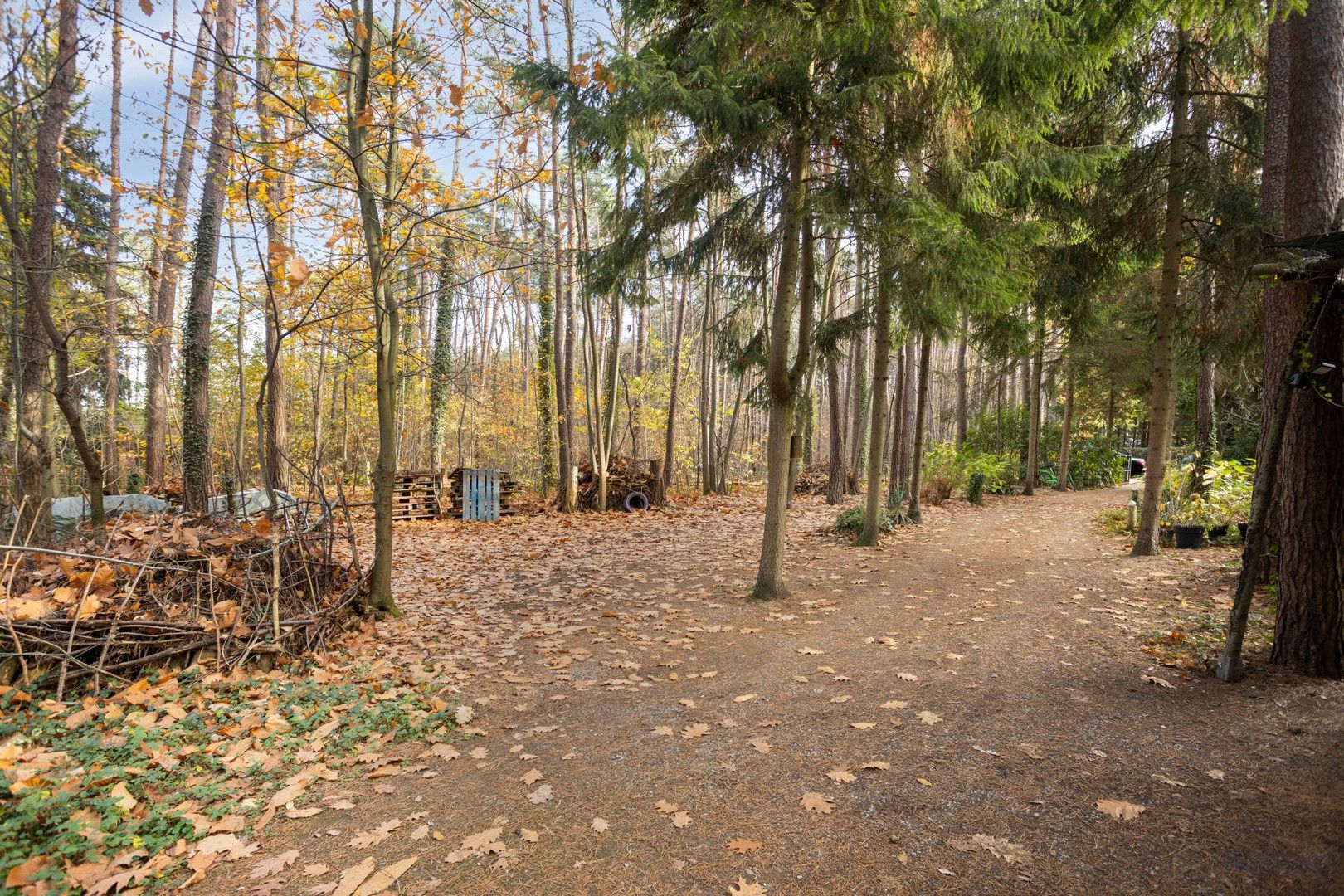 Vakantieverblijf te koop op Konijnepad in Tessenderlo foto 13