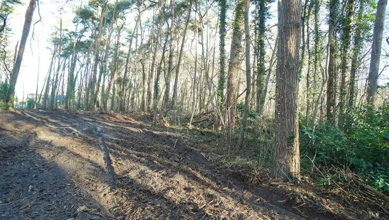 Residentieel gelegen bouwgrond van 31 are met 37 are bosgrond nabij golf- en meerdomein foto 9