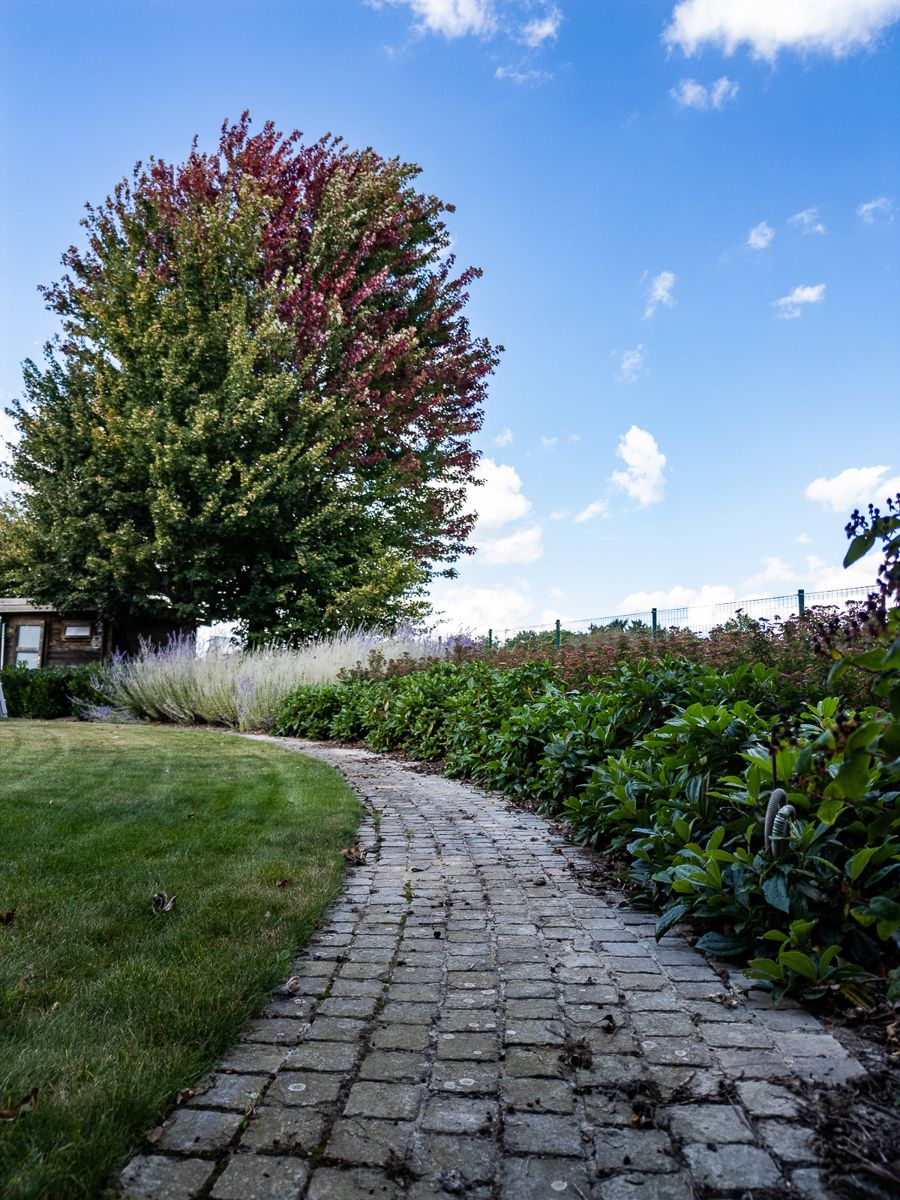 Een warme thuis in het groen foto 27