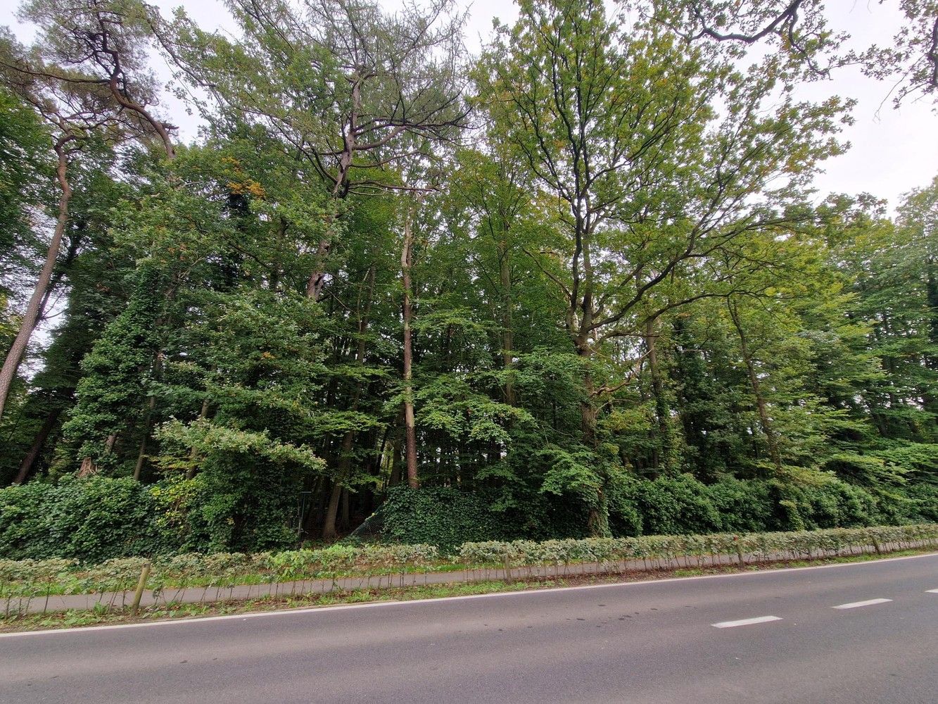 Bouwgrond (5.003 m²) voor een open bebouwing in Kapellen! foto 6