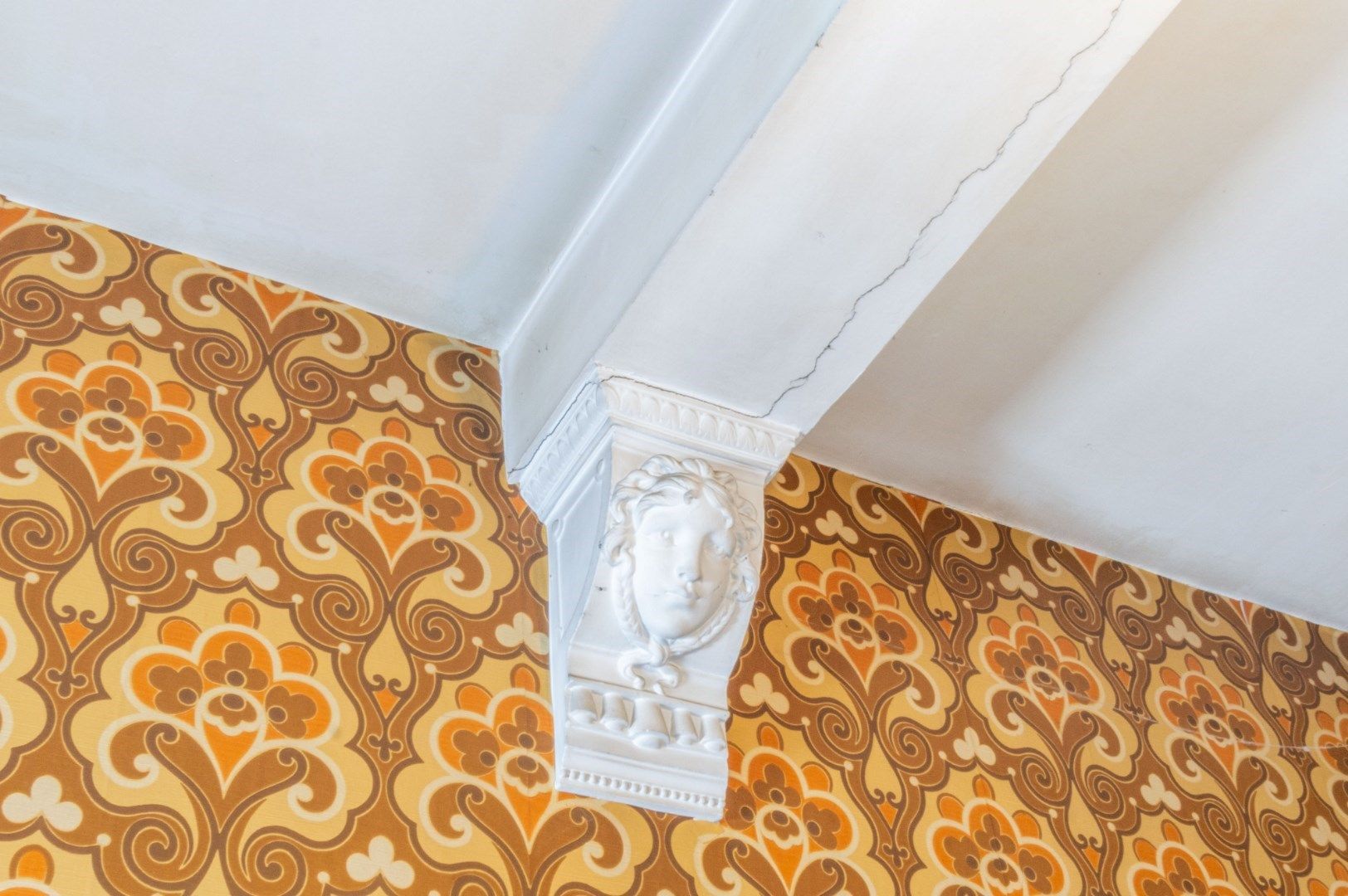 VOLLEDIG TE RENOVEREN KARAKTERWONING ! foto 16