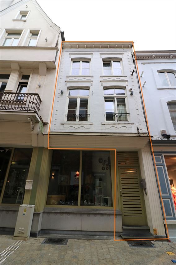 Uniek gerenoveerd appartement in de stad foto {{pictureIndex}}