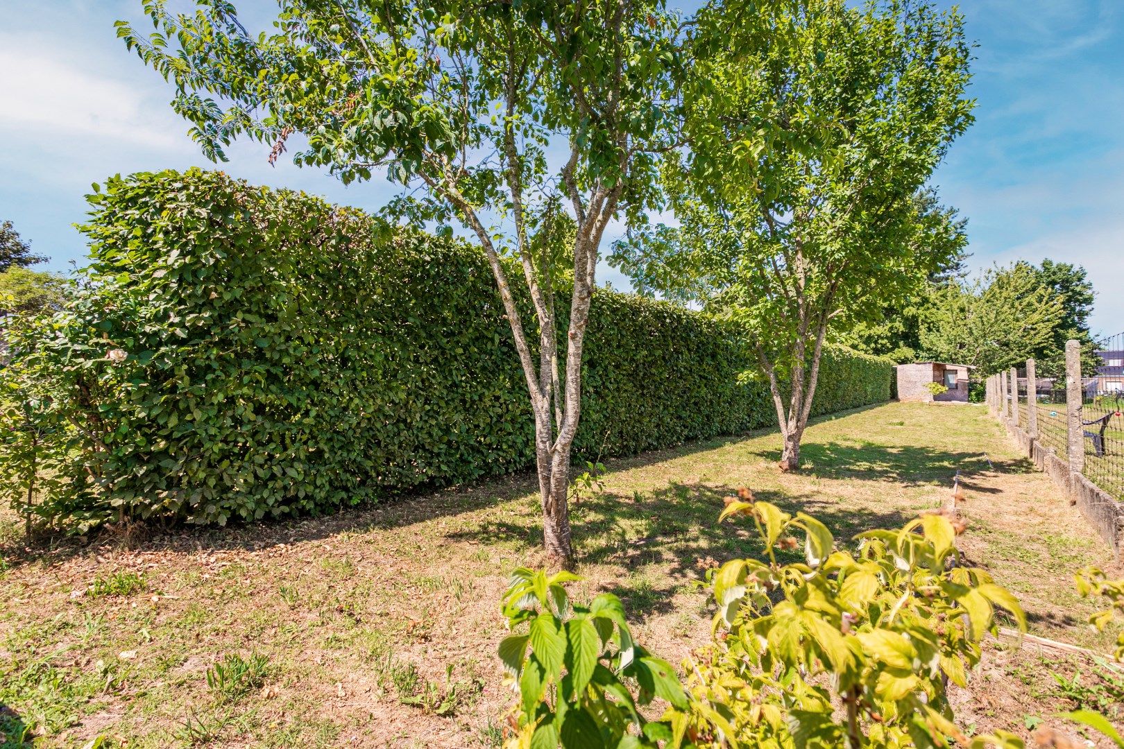 Ruime en energiezuinige (EPC A) woning met 5 slaapkamers, bureau, garage en tuin foto 15