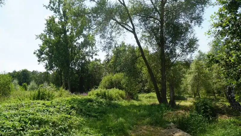 Bouwgrond 8 are 50 ca voor open bebouwing vlakbij centrum en met mooi achterzicht op groene omgeving foto 2