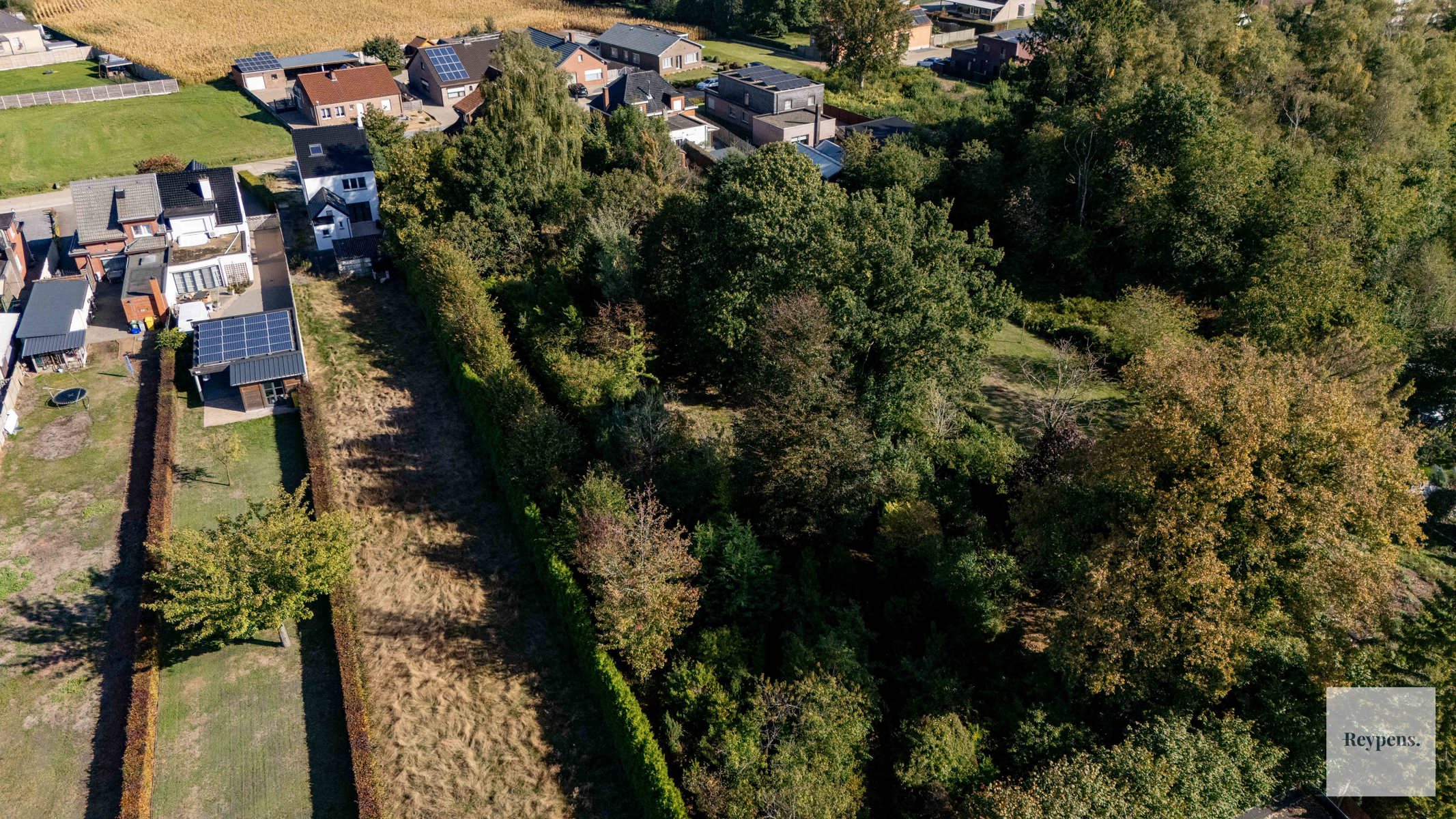 Prachtige landelijke stijlvilla met grote parktuin foto 35