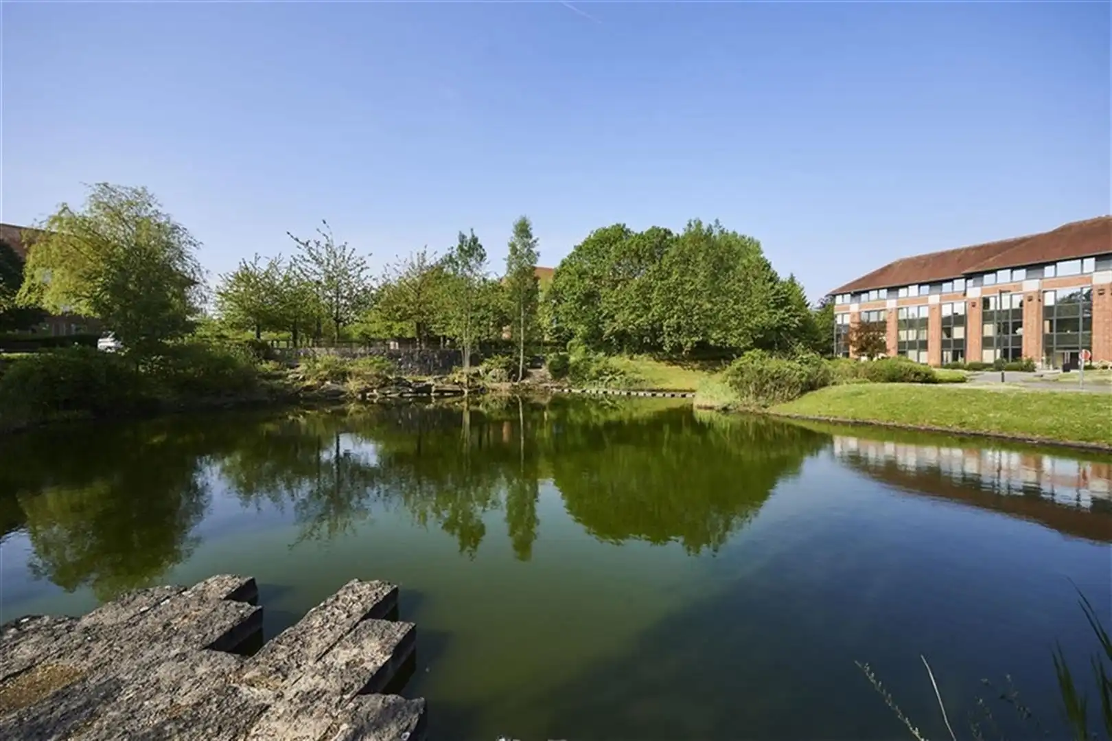 WOP M/N: kantoren te huur 365m² foto 6