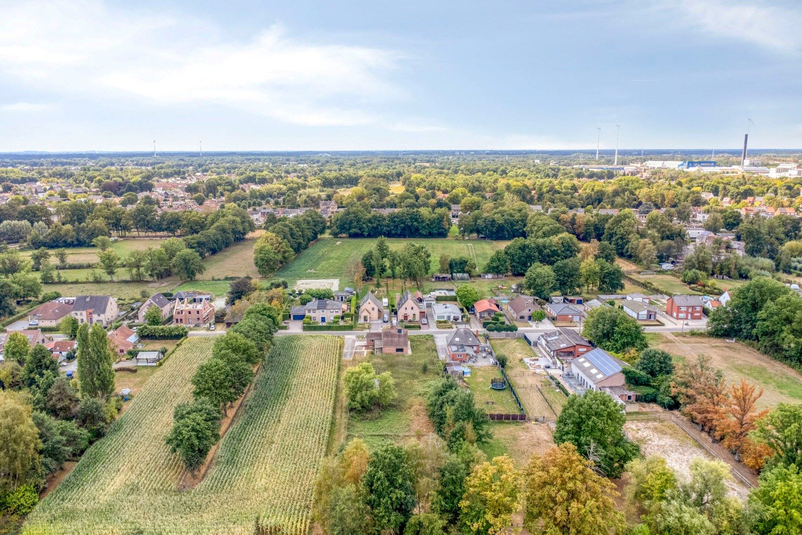 Woning met 3 slaapkamers op 3.363 m², landelijk gelegen te Olen ! foto 6