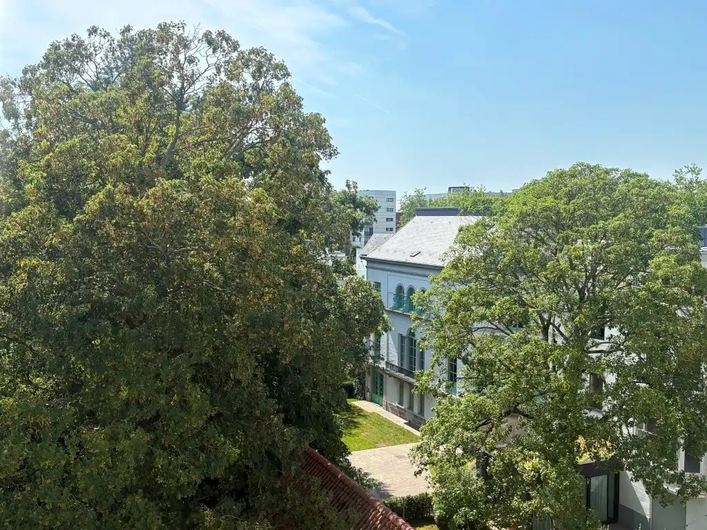 Bijzonder stijlvolle assistentie-penthouse met groot terras, midden in het groen, hartje Gent. foto 20