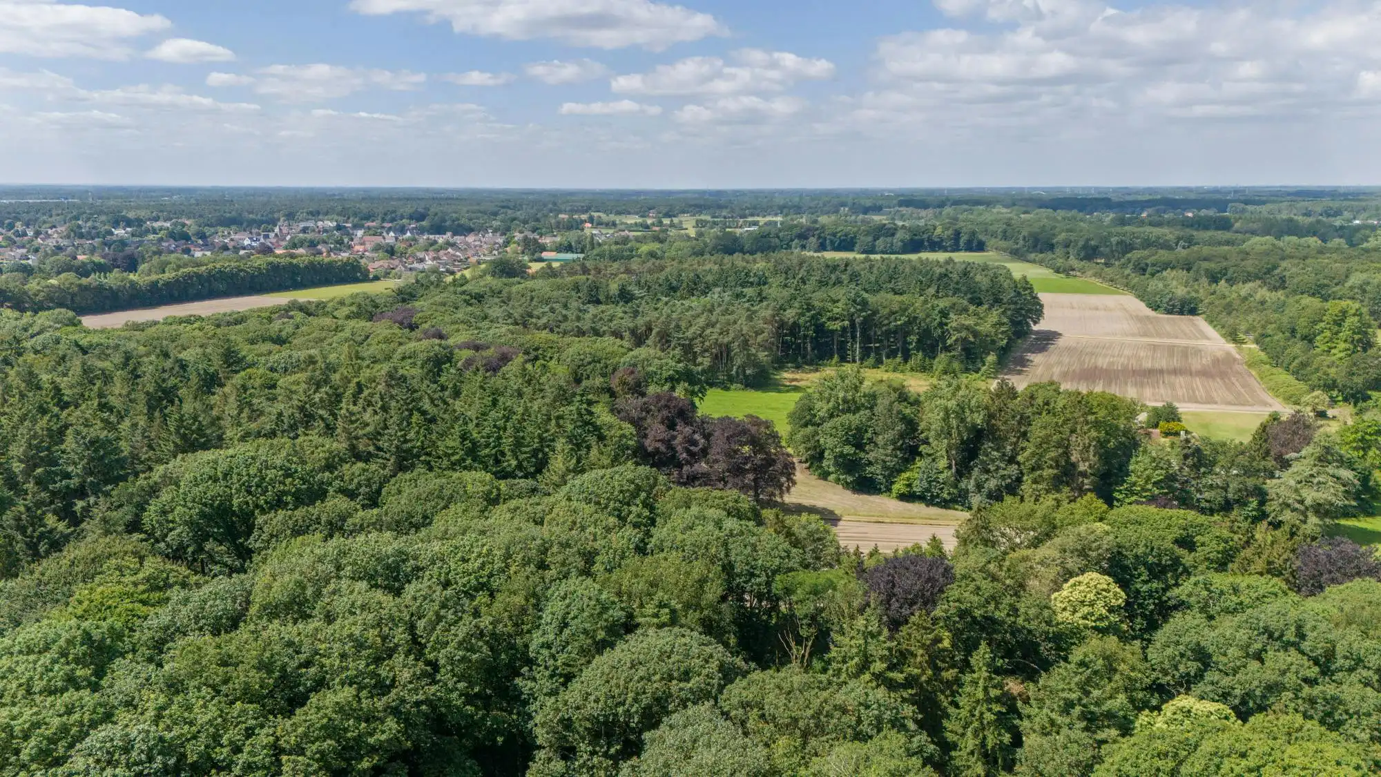 Magnifiek landhuis in een prachtig domein van ca 10ha foto 10