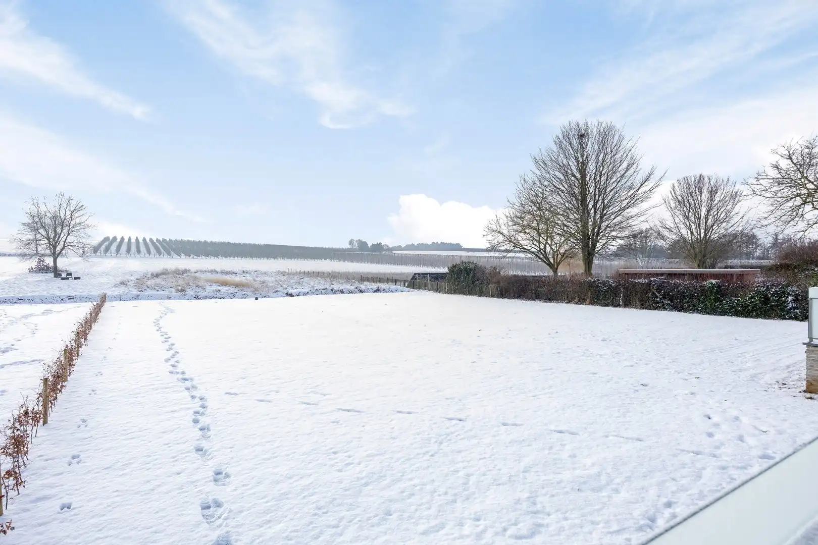 Fantastisch afgewerkte nieuwbouwwoning met 3 slaapkamers, tuin en terras in Assent (Bekkevoort)! – bewoonbare opp. 177m²  foto 23