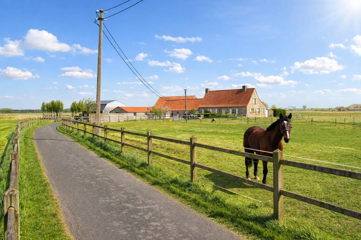 Groot domein met lange oprijlaan te Knokke-Heist foto 13
