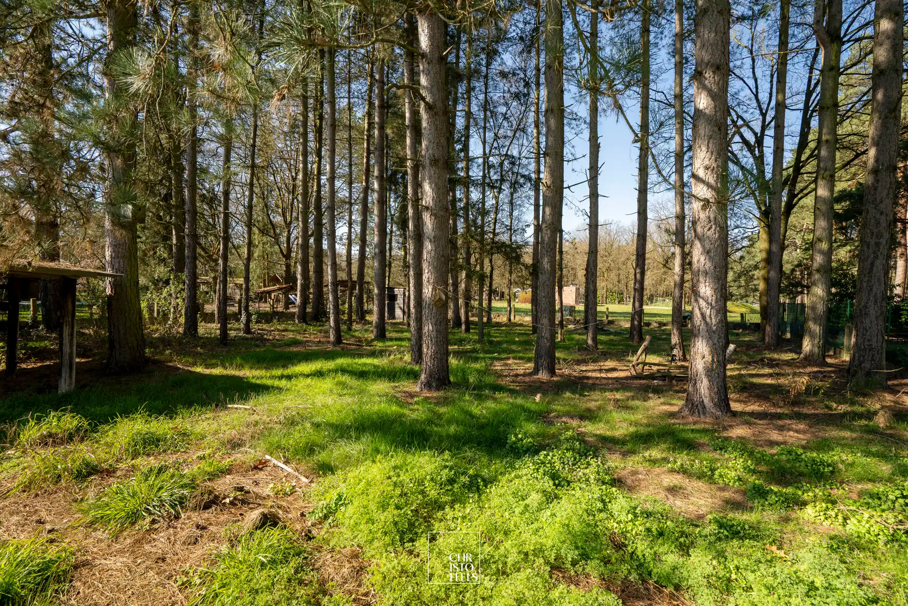 Bungalow op ruim perceel (2000m²) in een groene, rustige omgeving te Gellik-Lanaken! foto 10