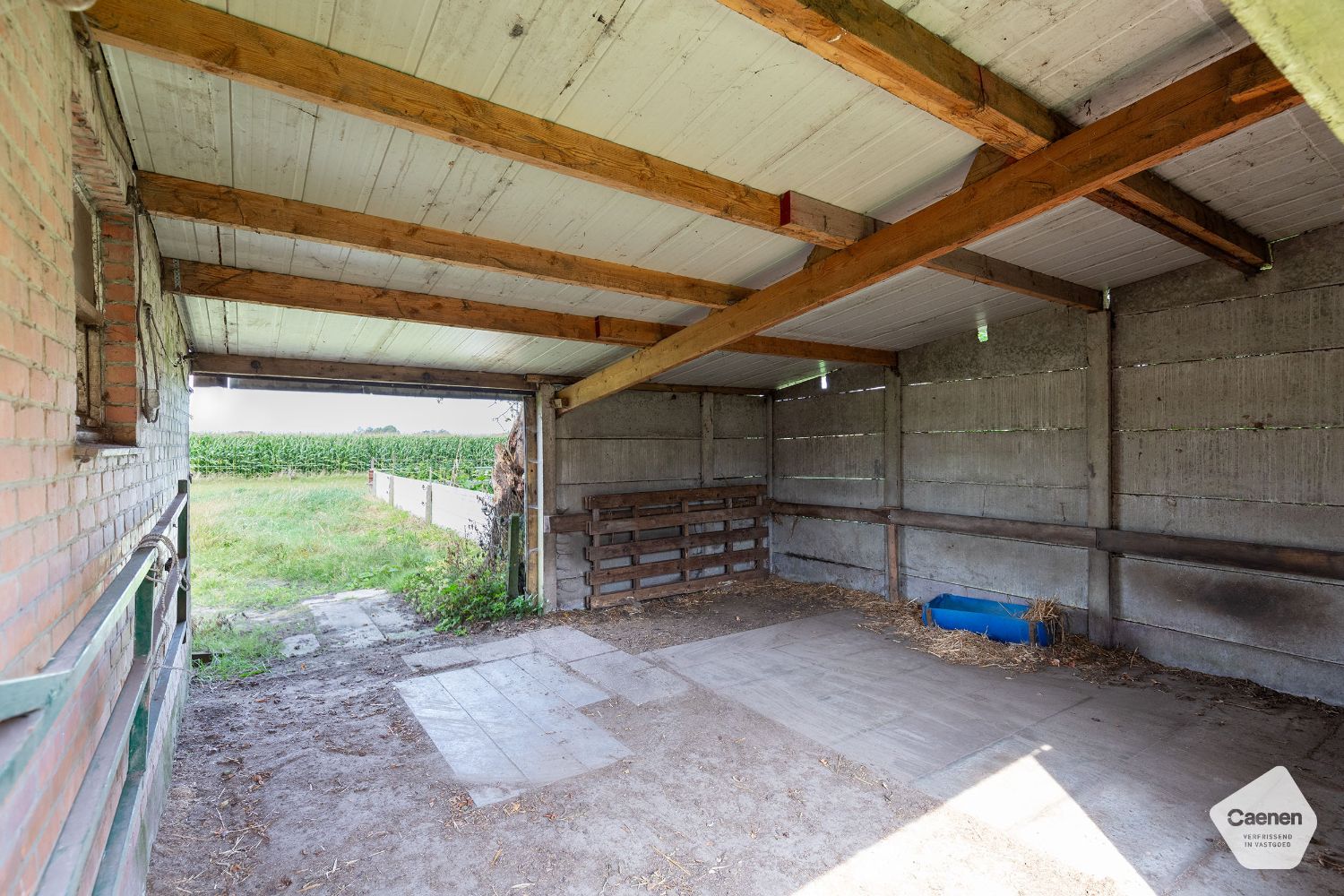 Exclusieve landelijke woning op een mooi perceel van 19869 m² en magnifieke bijgebouwen van bij benadering 1000 m² foto 21