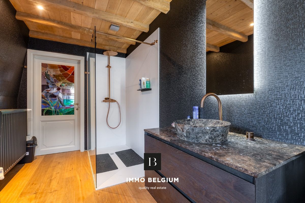 Gerenoveerde eigendom in de Concessie foto 21