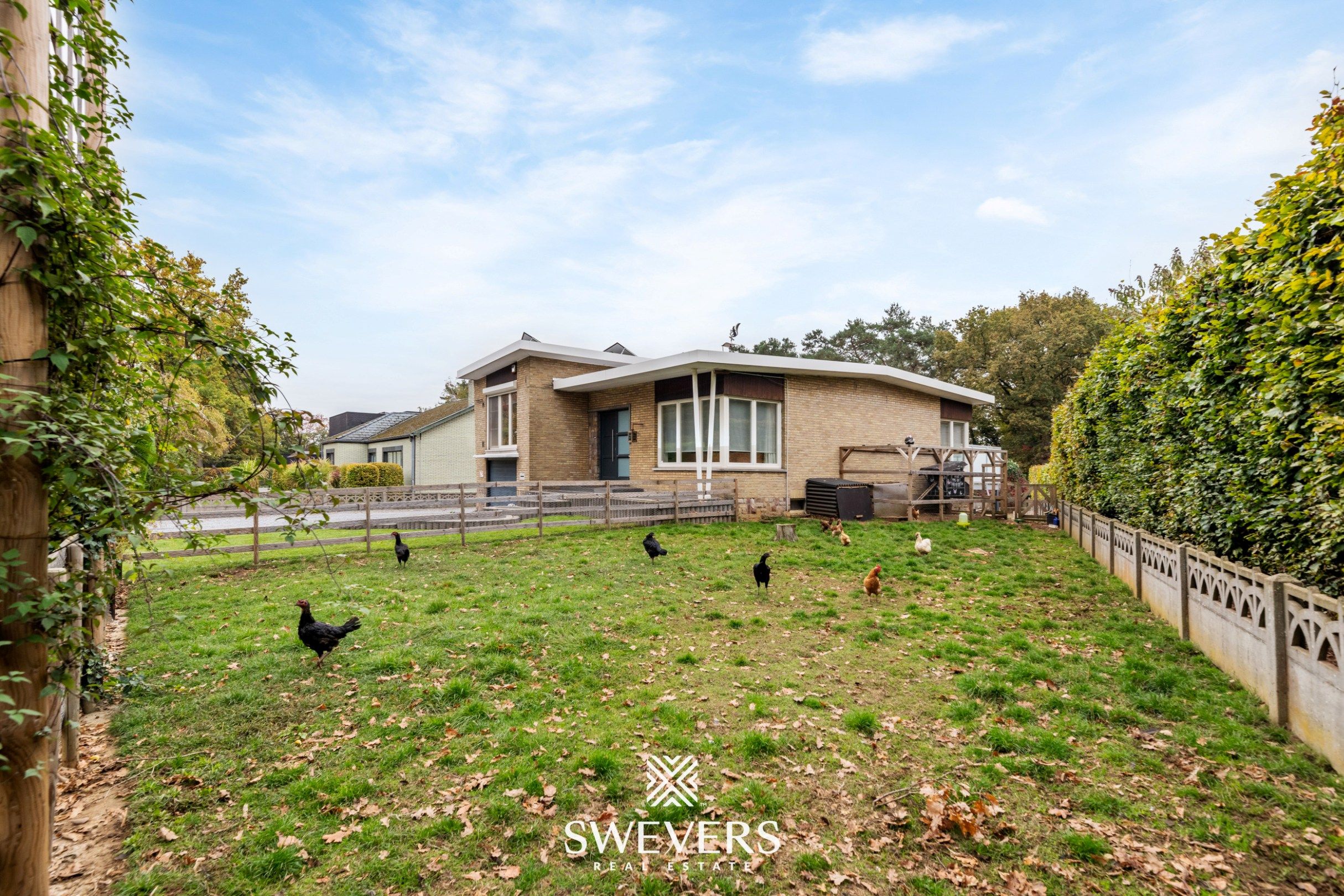 Instapklare gezinswoning met 3 slaapkamers, ruime kelder en zuidgerichte tuin in Beringen foto 2