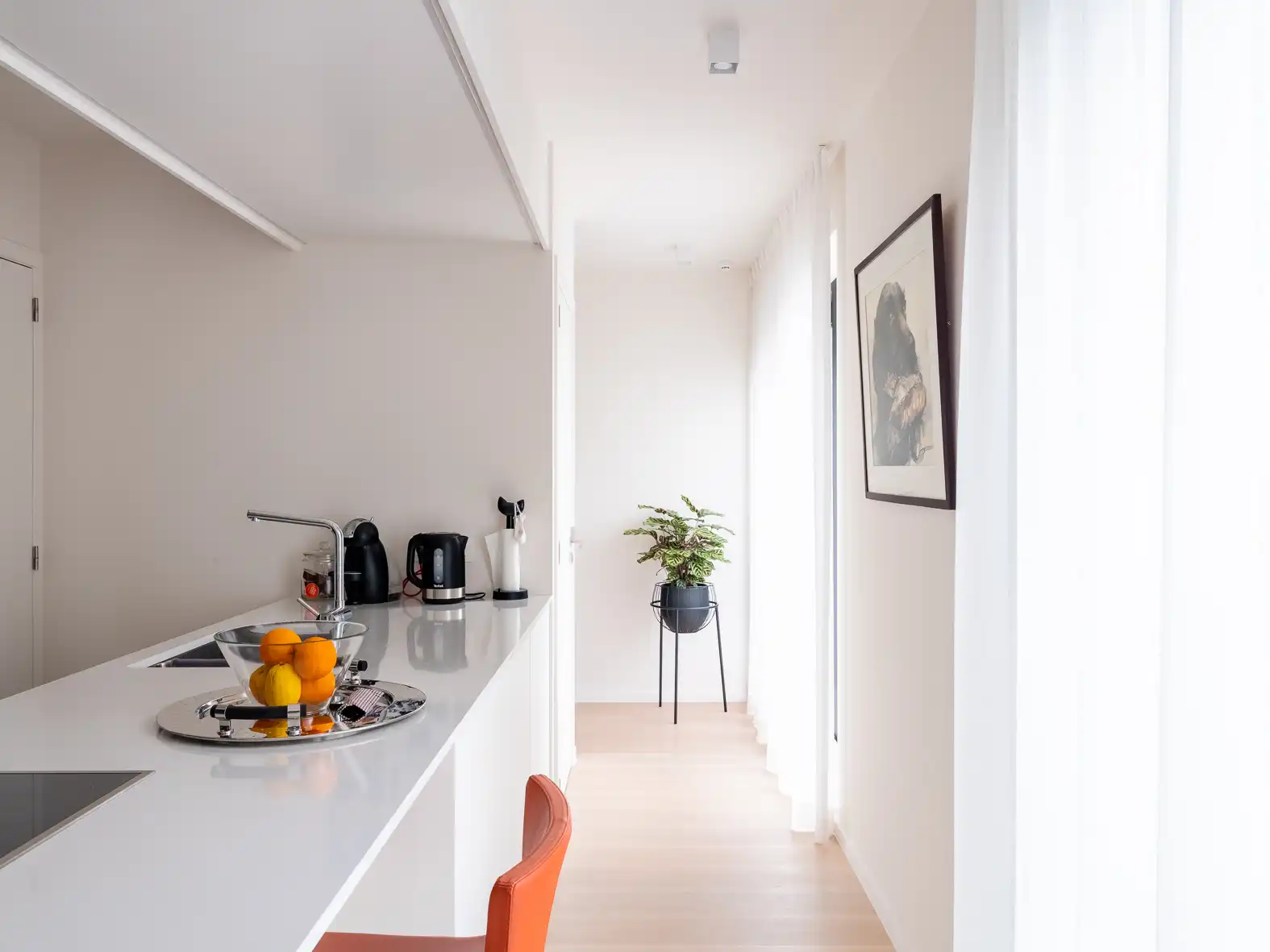 Exclusief recent appartement met terras foto 4