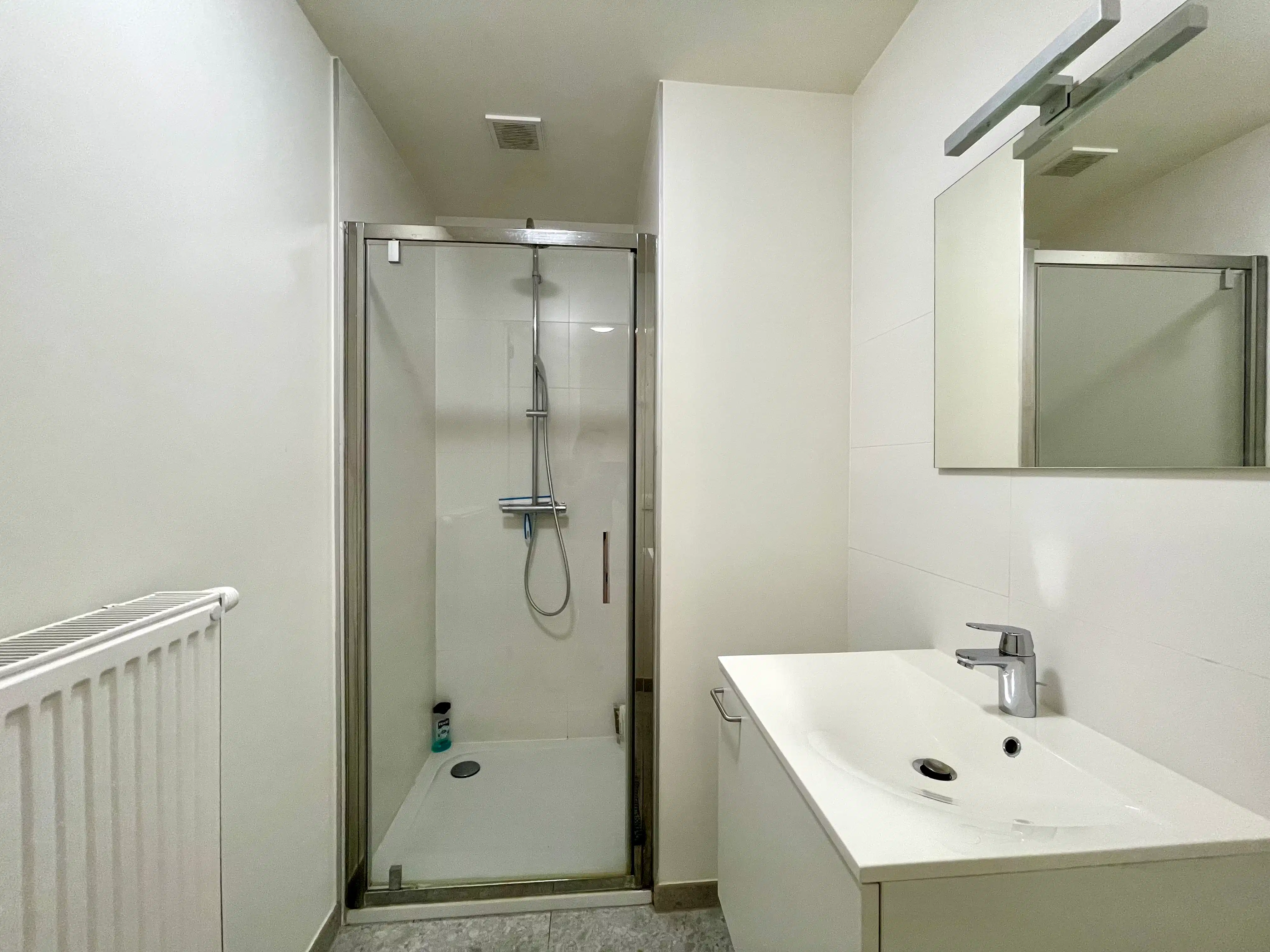 Ruim appartement met 3 slaapkamers en 2 badkamers te Gent foto 16