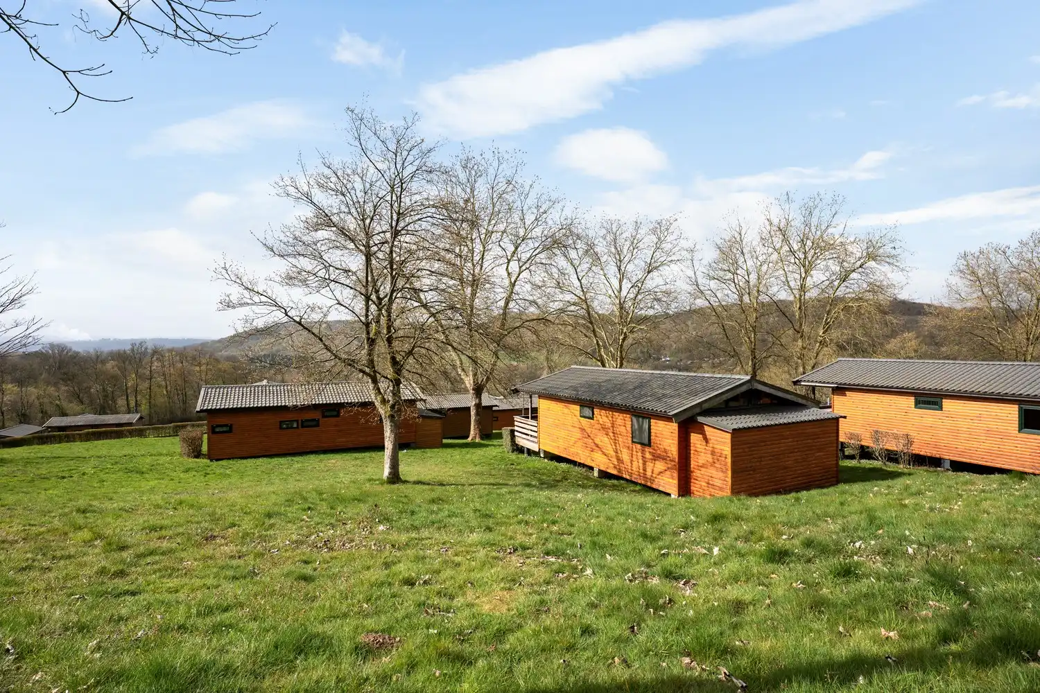 Vakantiehuisje met 2 slpkrs te Blaimont foto 23
