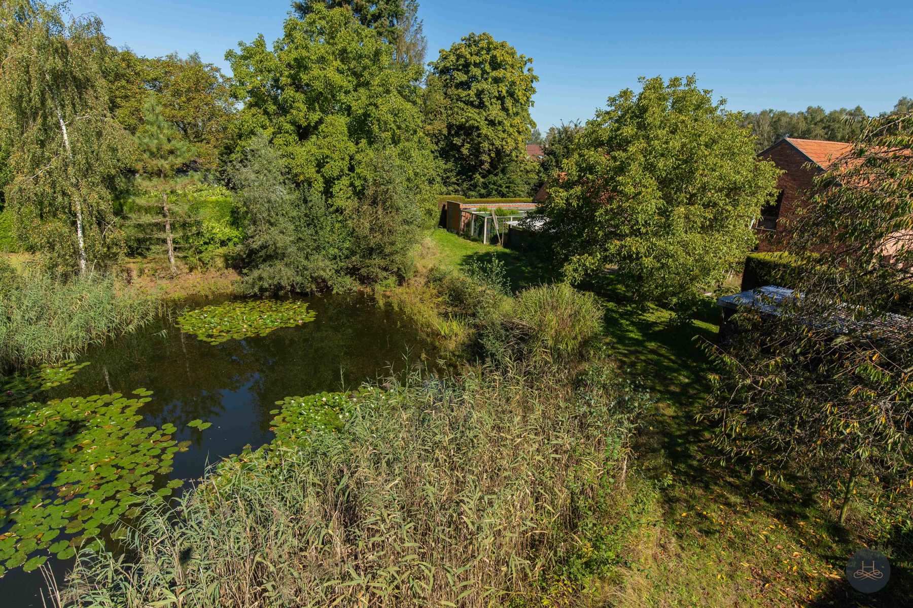 Op te frissen hoeve met natuurlijke vijver foto 8