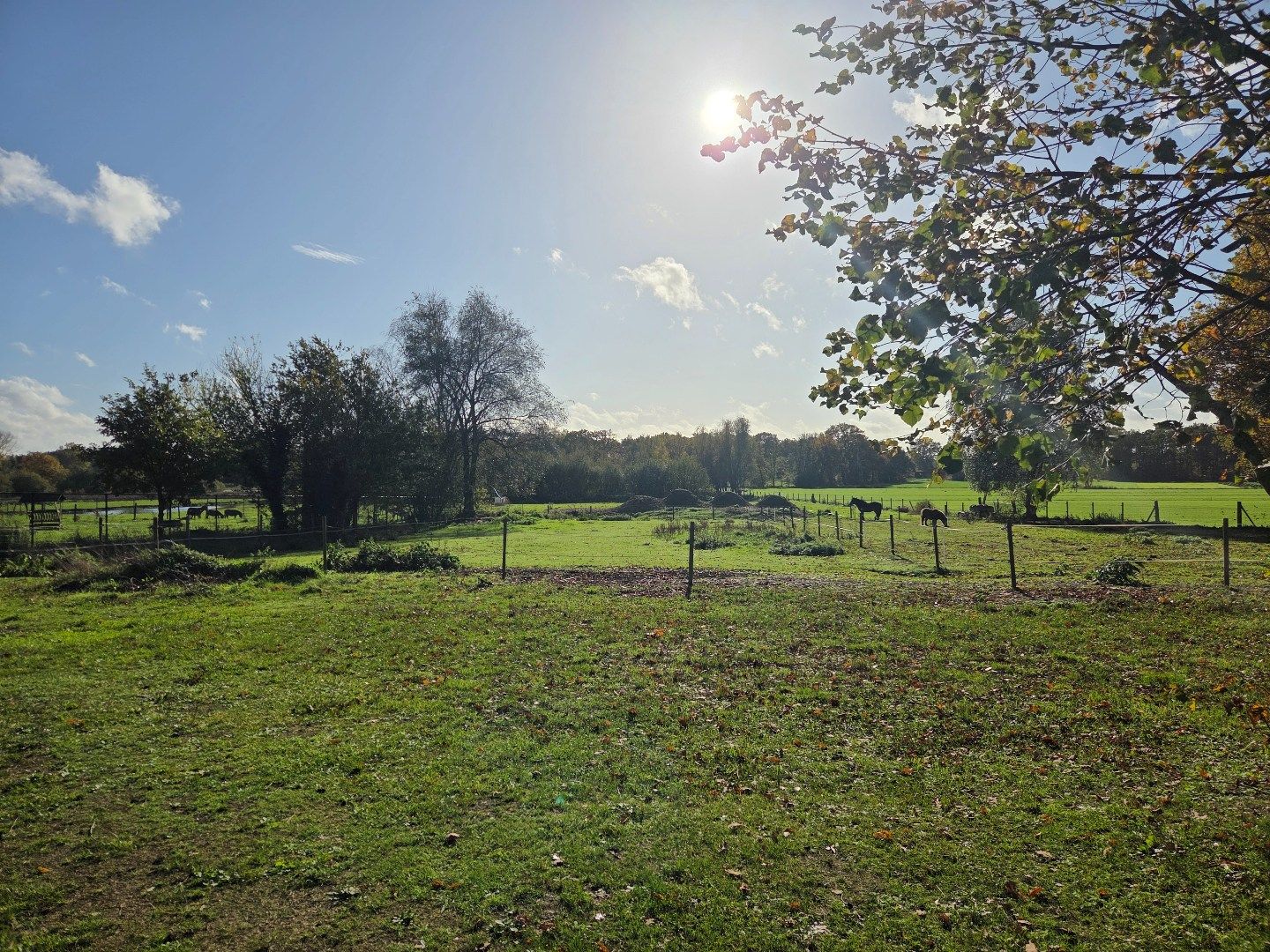 Woning met 3 slpks, schuur met 3 stallen en weiland op 2.288 m² nabij Geel-centrum ! foto 27