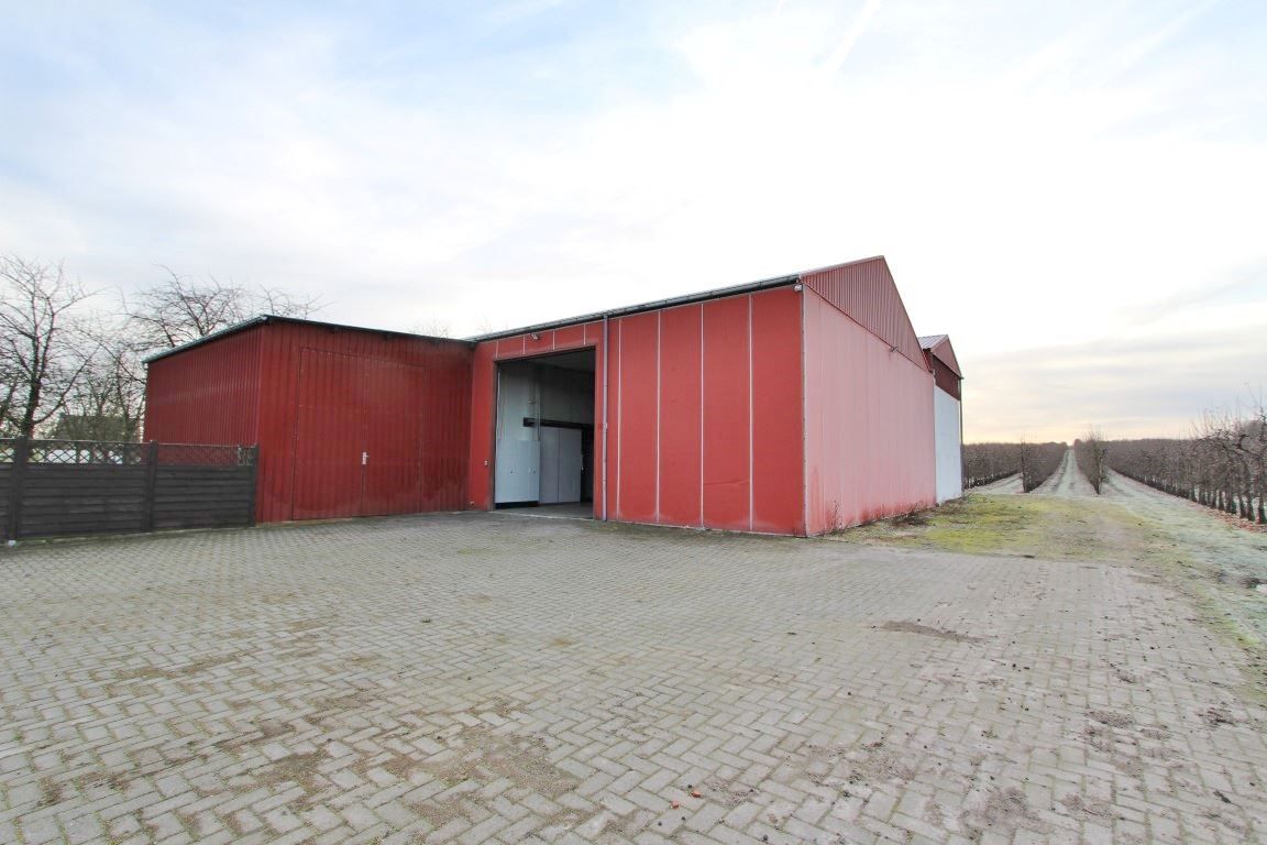 Ruime stockageruimte met frigoloodsen foto {{pictureIndex}}