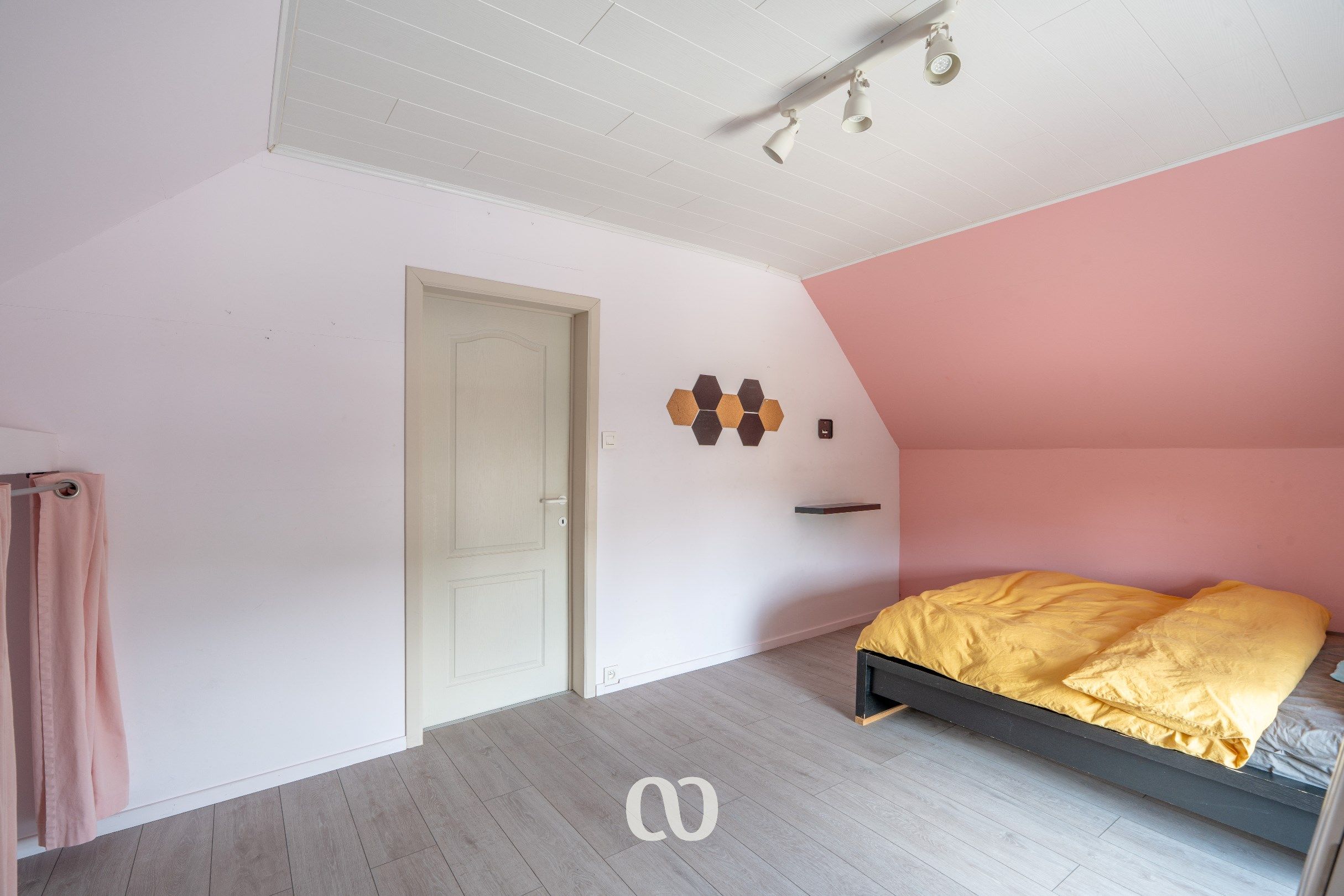 Ruime gerenoveerde woning met 4 slaapkamers in centrum Eine foto 10