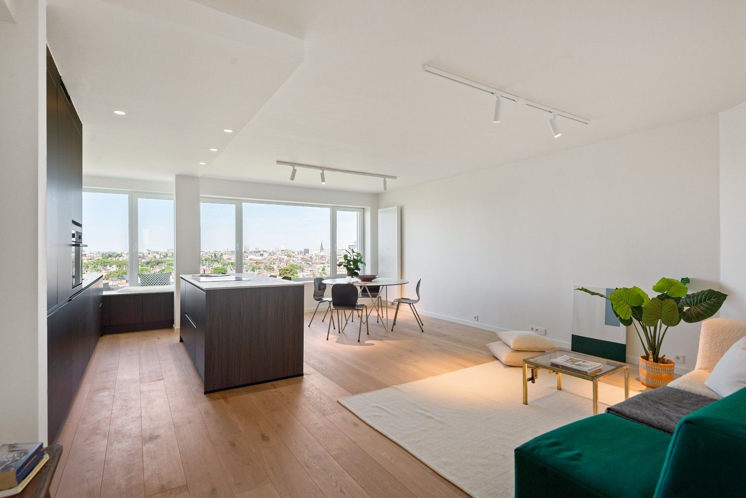 Volledig gerenoveerd appartement met fantastisch uitzicht te Berchem foto 4